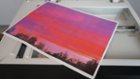 Color print on scanner bed, click to load a larger version