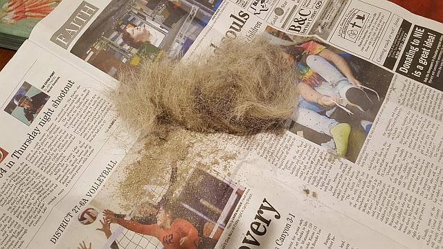 Customer provided image, click to load a larger version