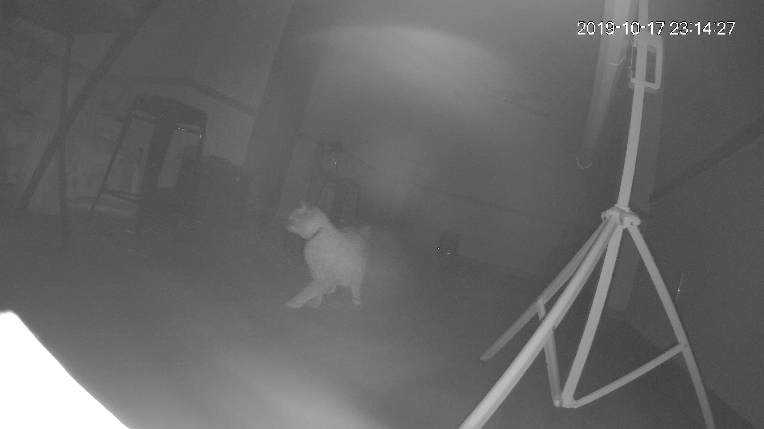 Indoor recording, pitch dark, click to load a larger version