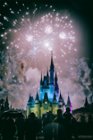 Disney World, June 2016, click to load a larger version