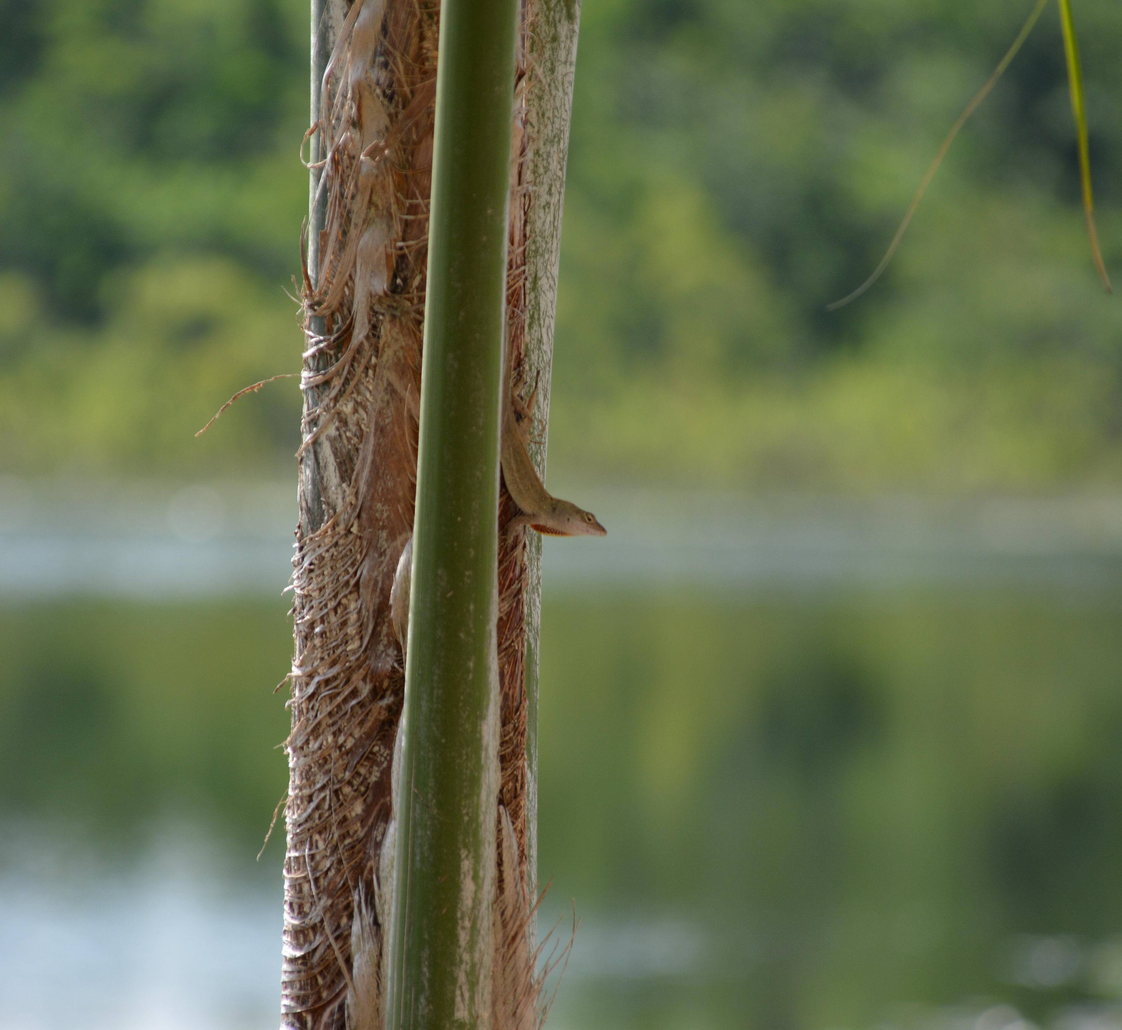 This was a test shot, click to load a larger version