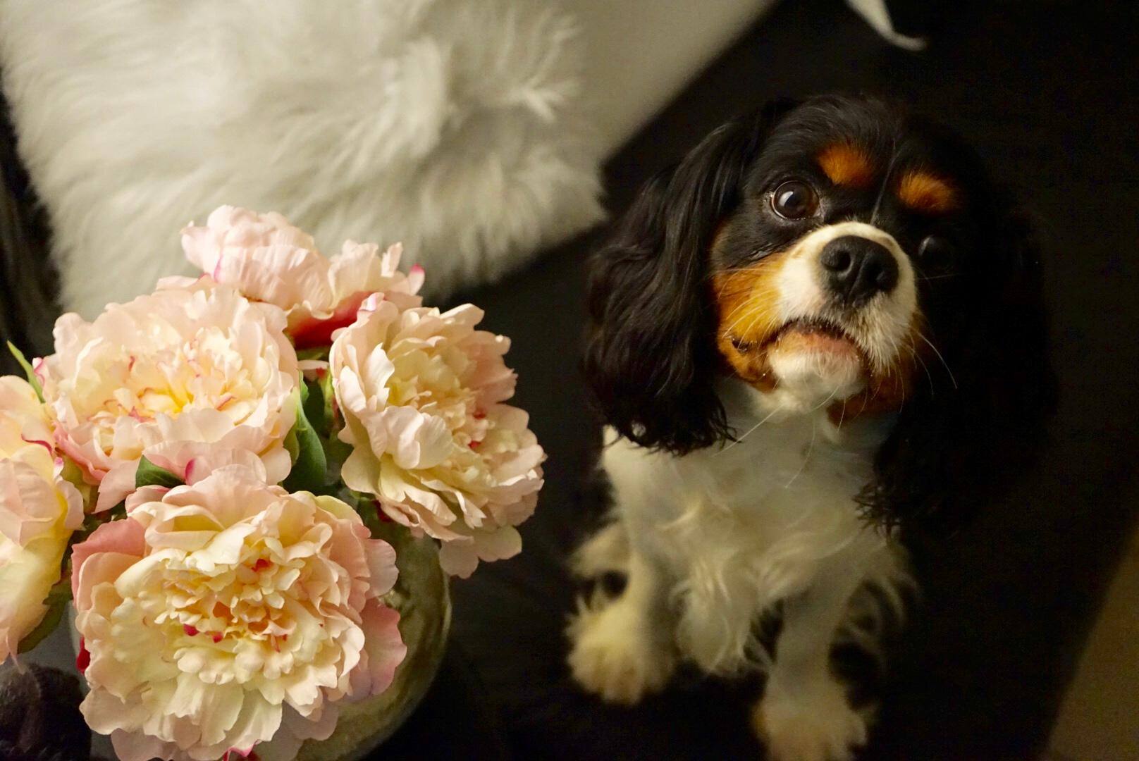 Taking with the a7, click to load a larger version