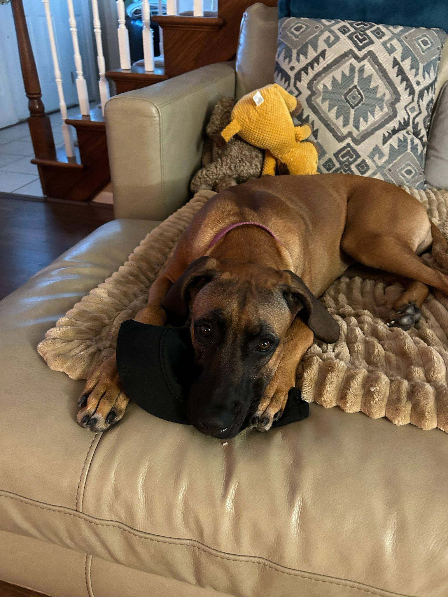 Customer provided, click to load a larger version