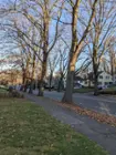 Sample photo taken with the phone, click to load a larger version