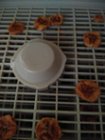 Hamilton Beach 32100A Food Dehydrator - Great Clean Condition-TESTED.  753956365036