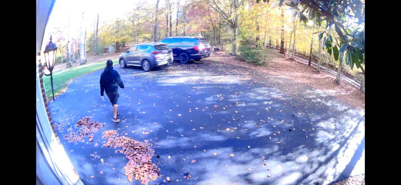 Great resolution, click to load a larger version