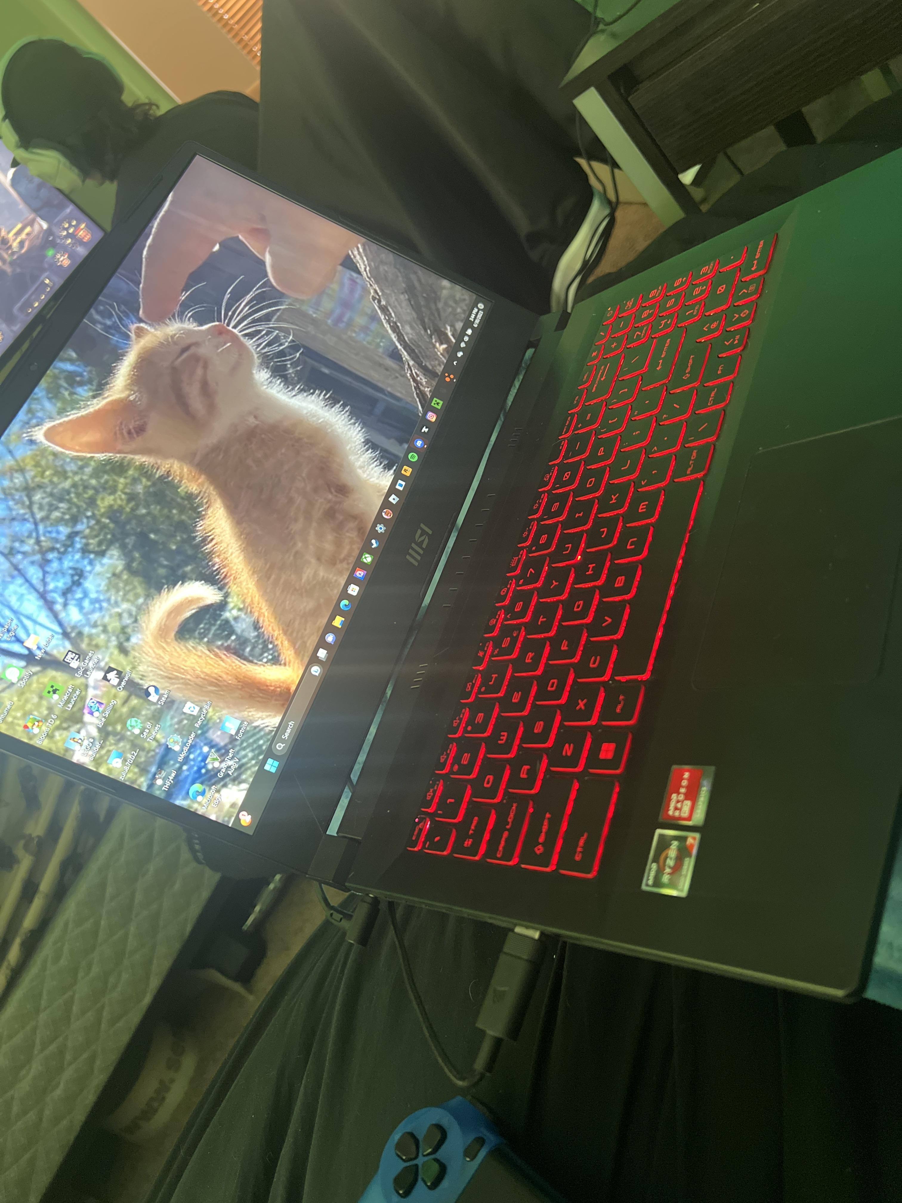 Customer provided image, click to load a larger version