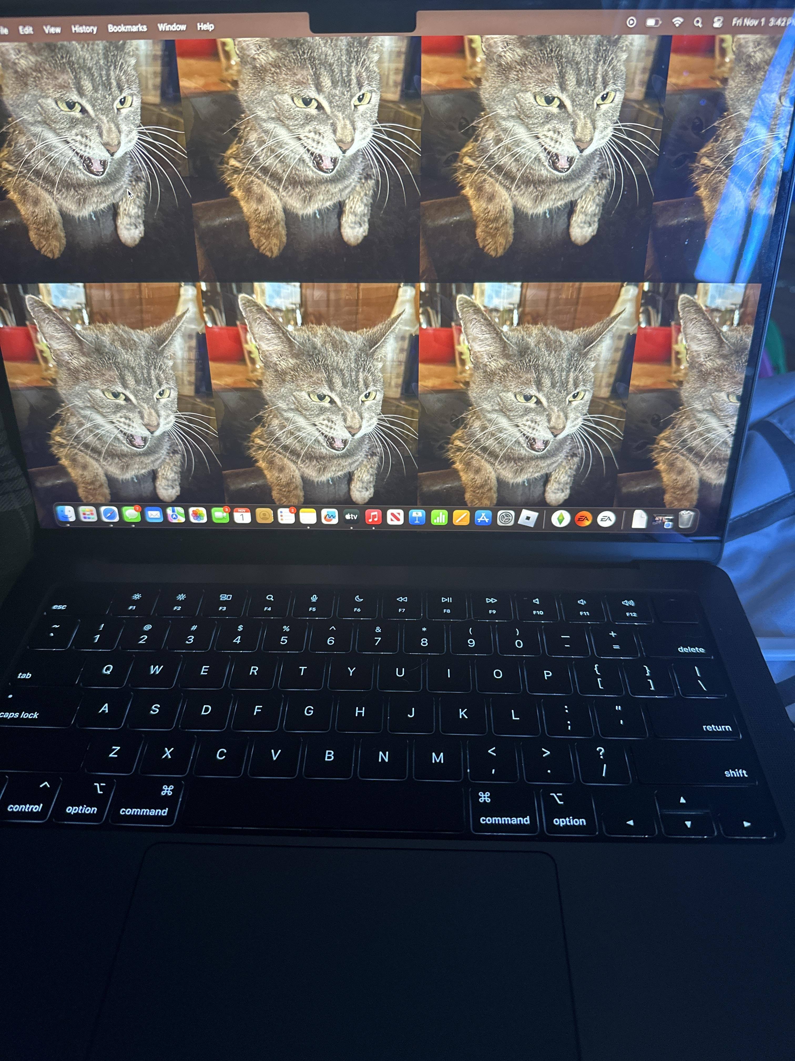 Customer provided, click to load a larger version