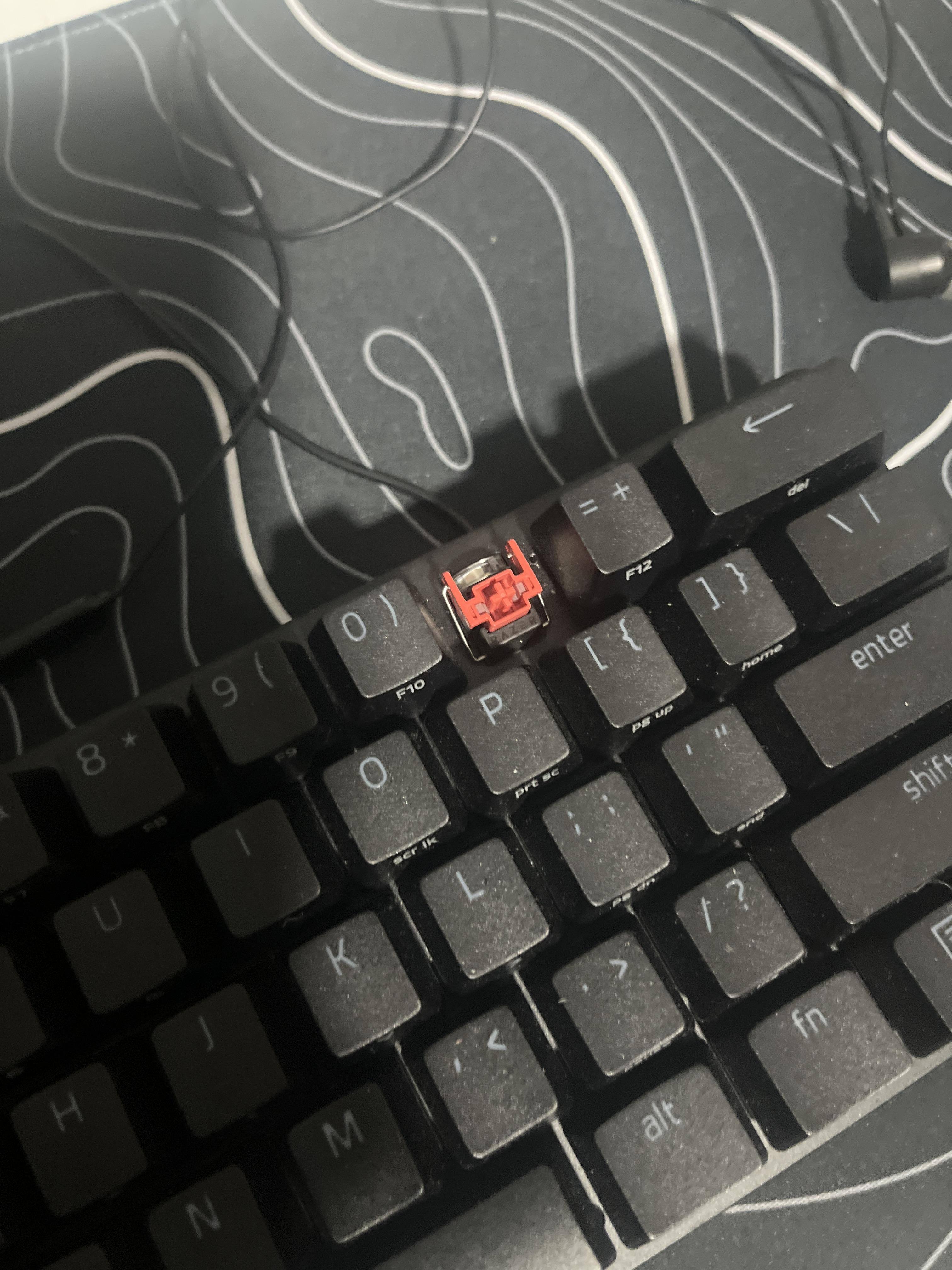 Customer provided image, click to load a larger version