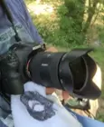 77" Hoya CP filter on my Carl Zeiss 24-70 lens, click to load a larger version