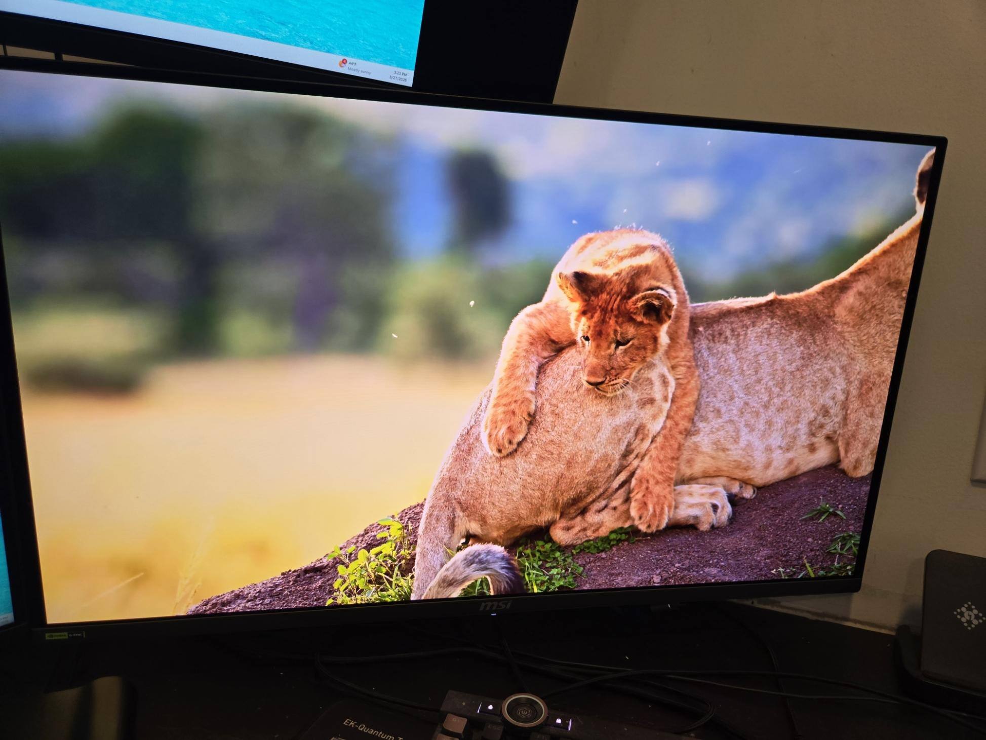 Customer provided image, click to load a larger version