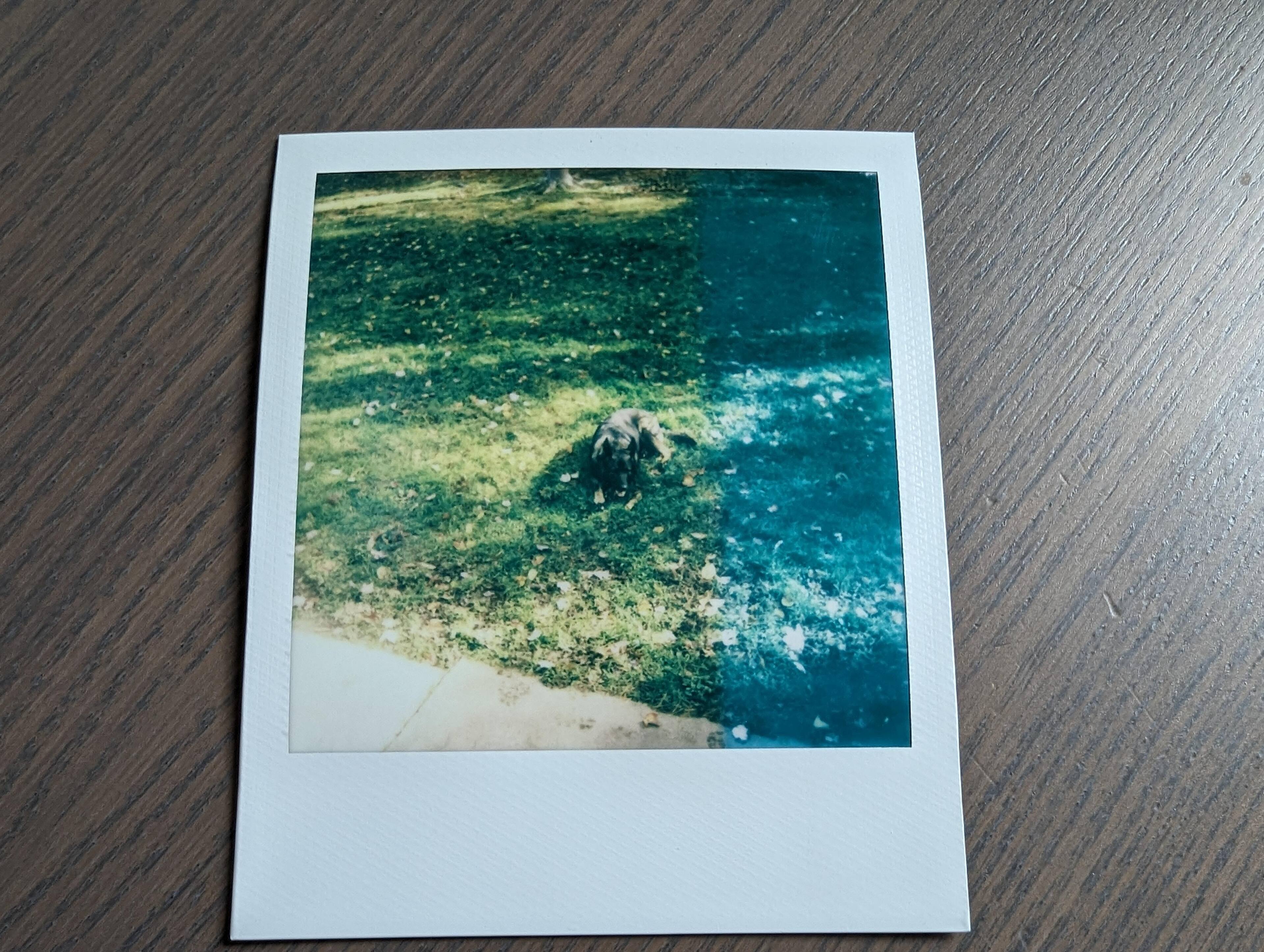 Customer provided, click to load a larger version