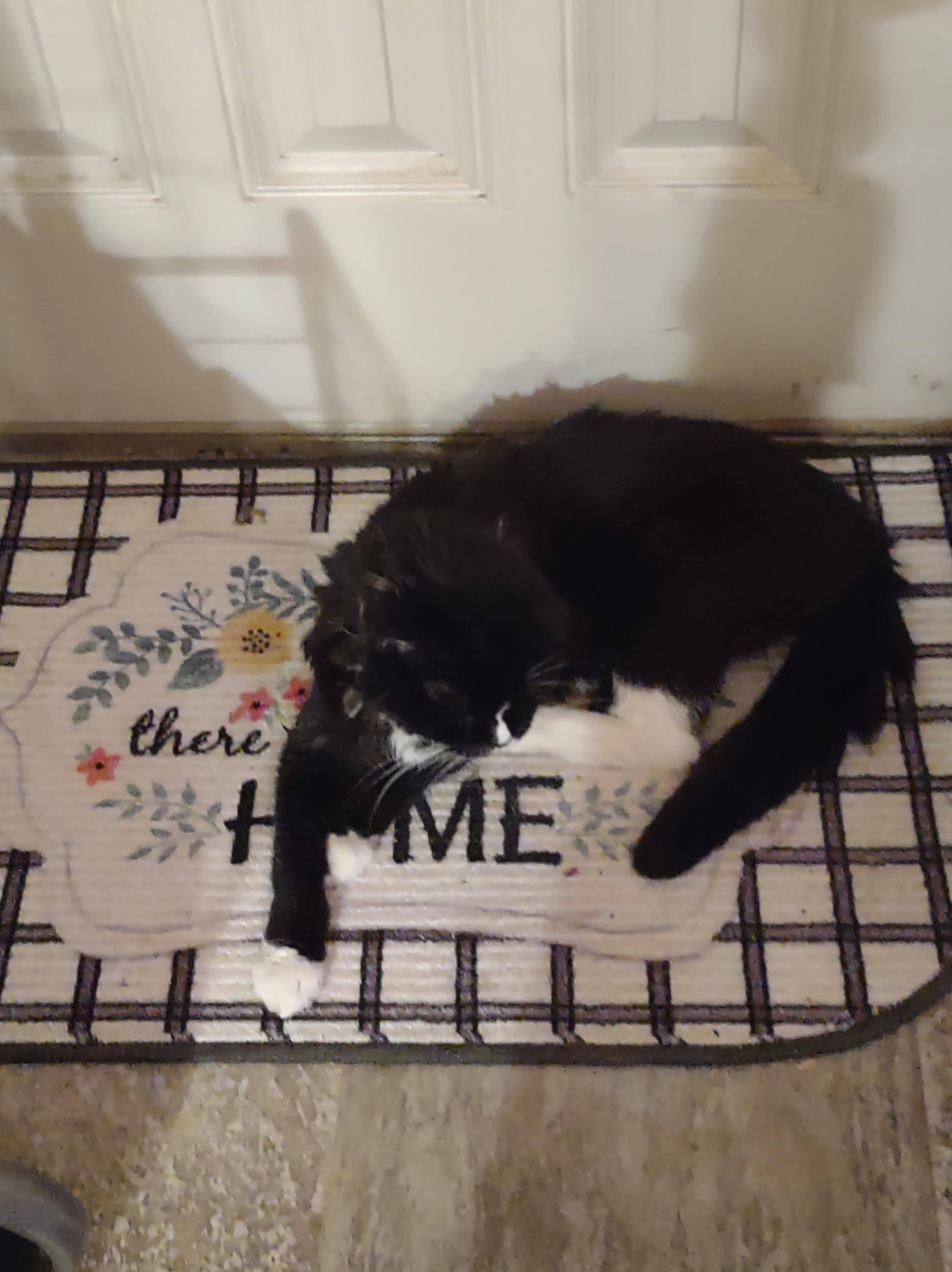 Customer provided, click to load a larger version