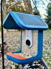 Bird Buddy Smart Bird Feeder with Solar Roof Blue BBG1003BAB - Best Buy