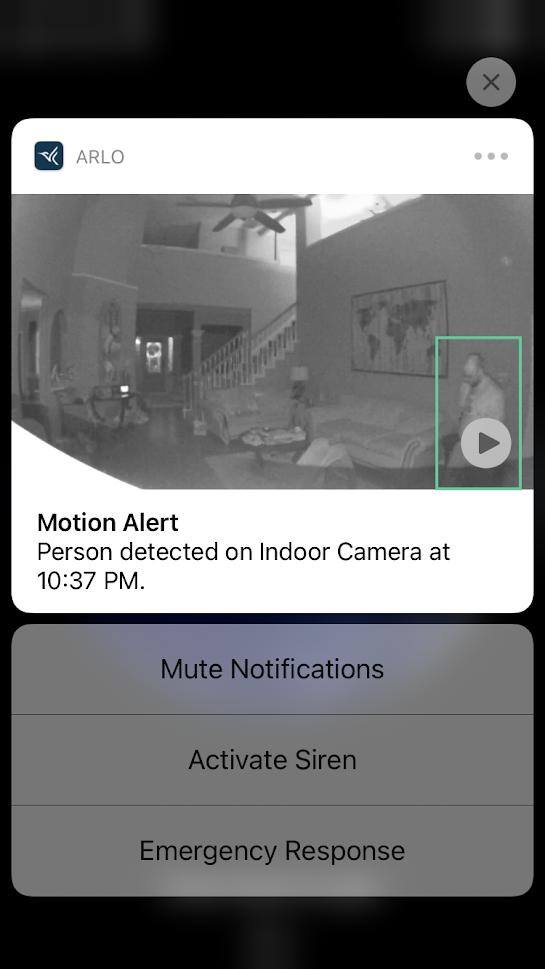 Motion Alert Preview - Night, click to load a larger version