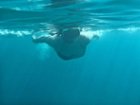 Underwater with my phone and case., click to load a larger version