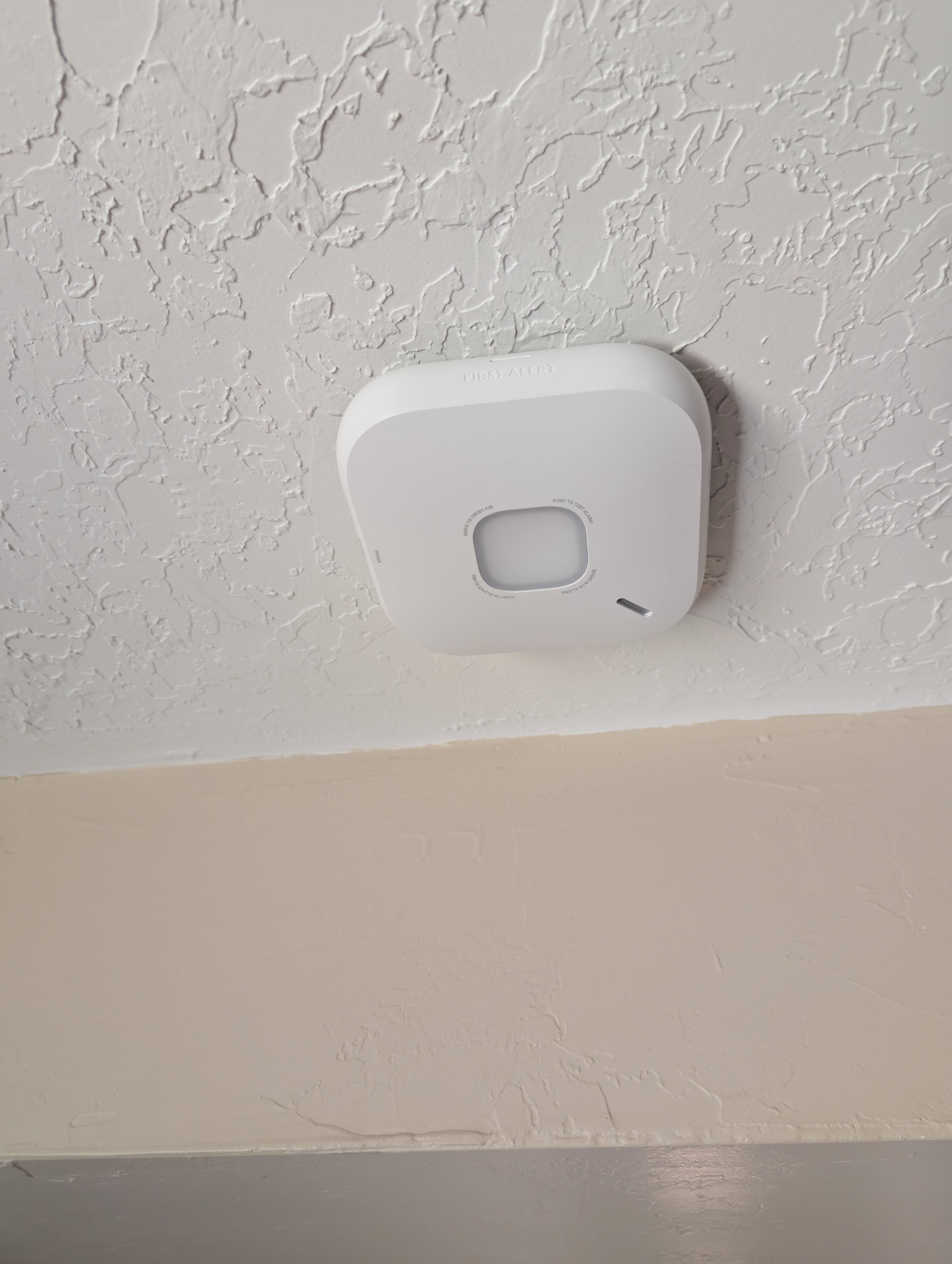 Large, but not too large. The big button is easy to identify and lights during an alarm or test., click to load a larger version