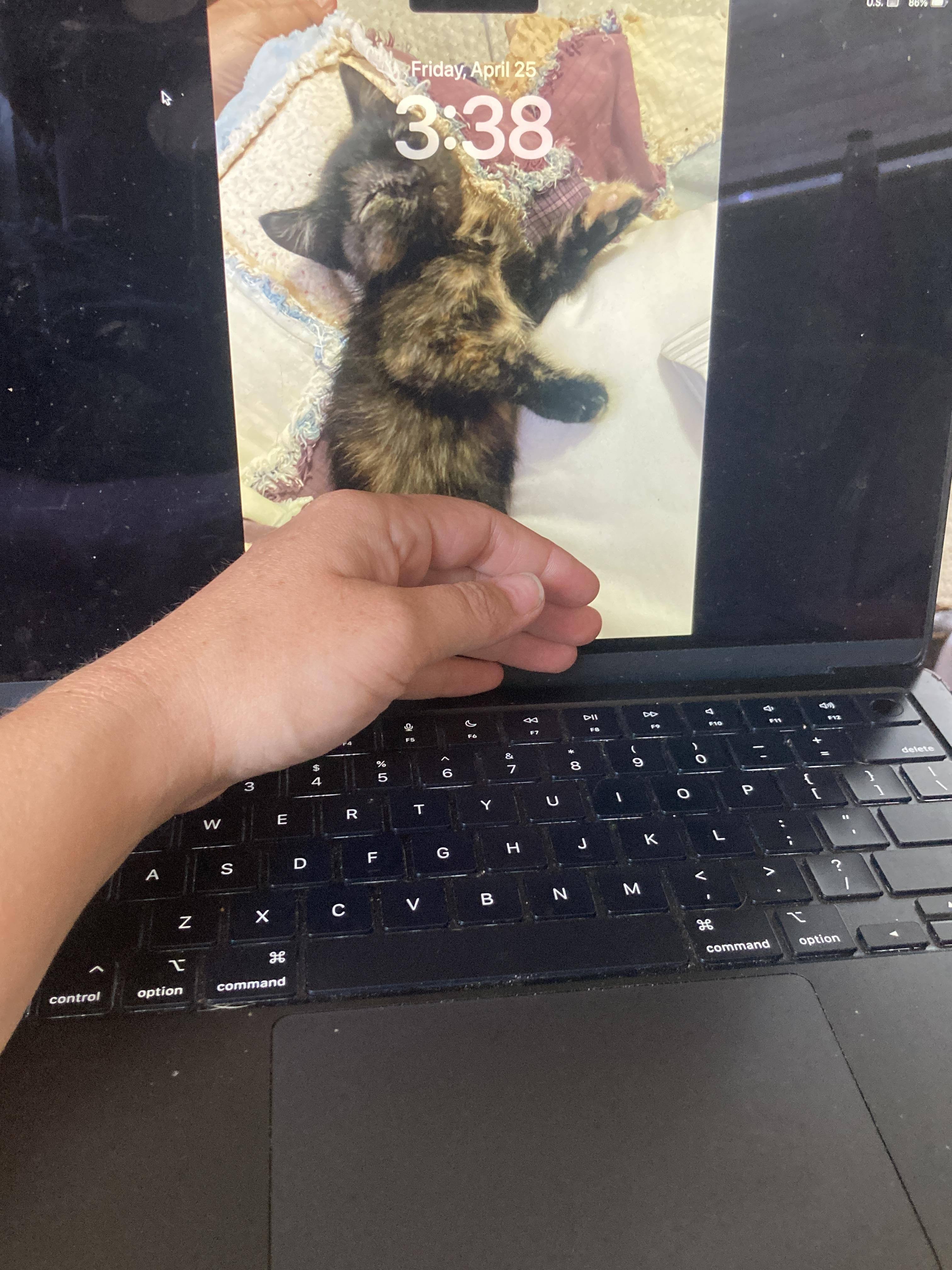 Customer provided, click to load a larger version