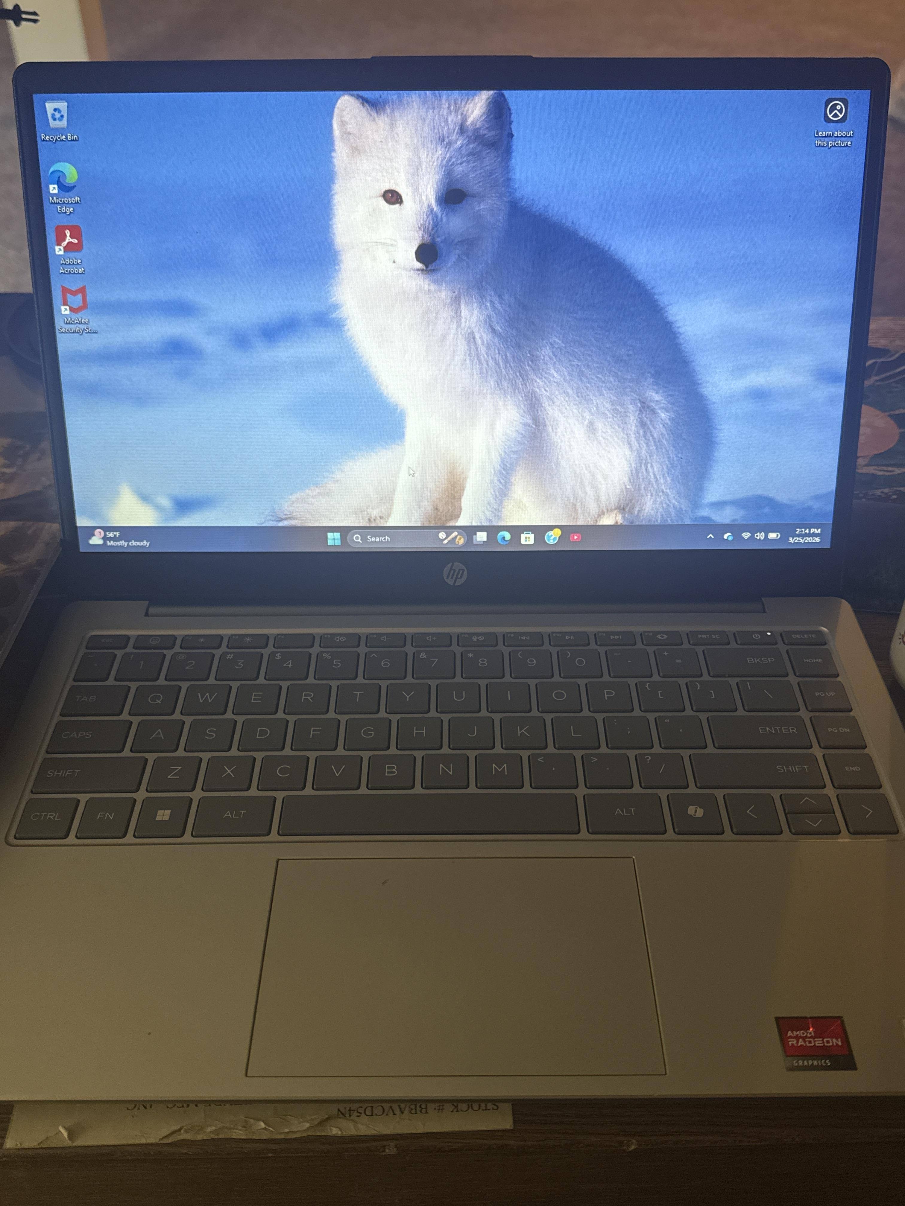 Customer provided image, click to load a larger version