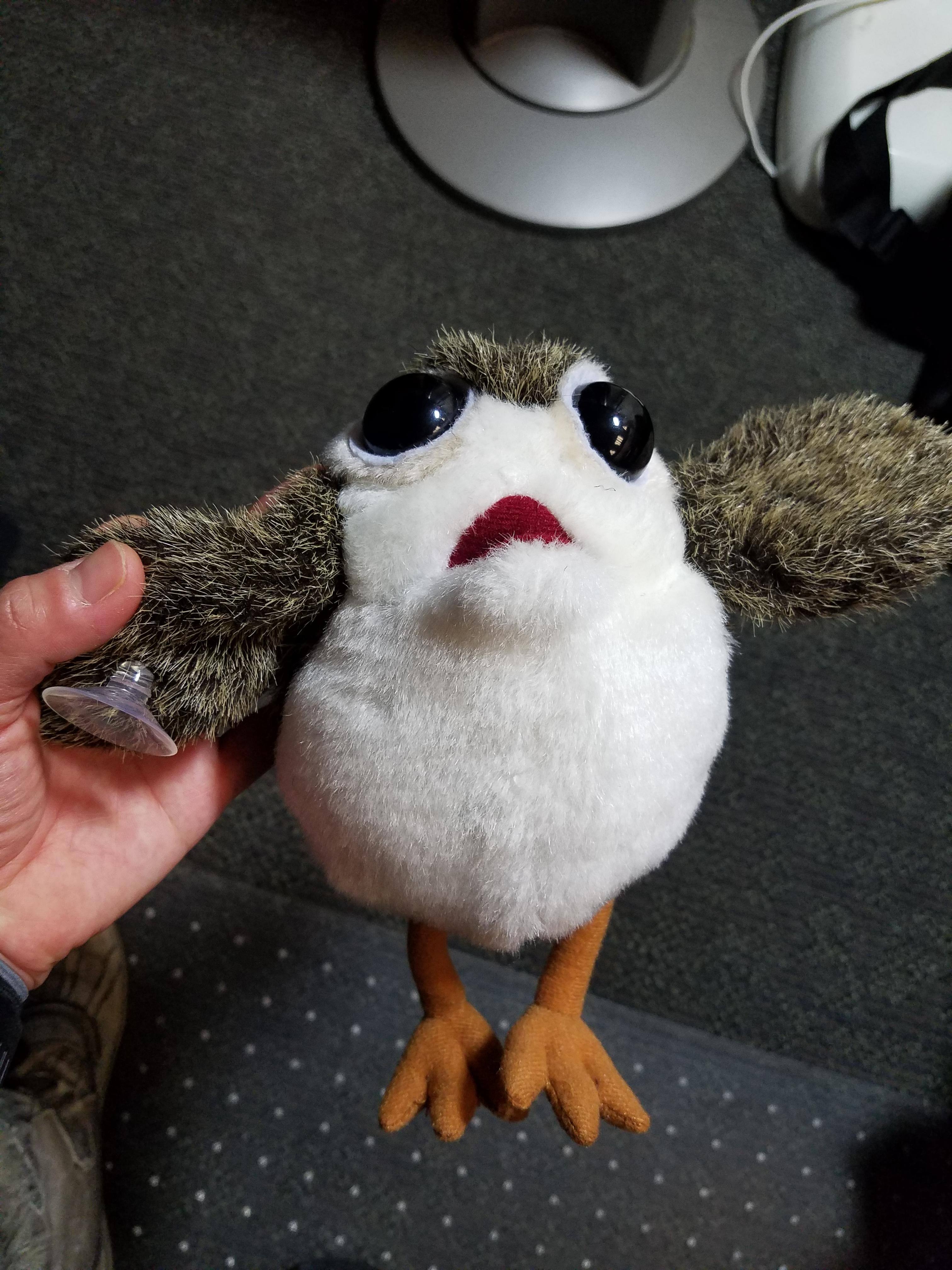 What I received, click to load a larger version