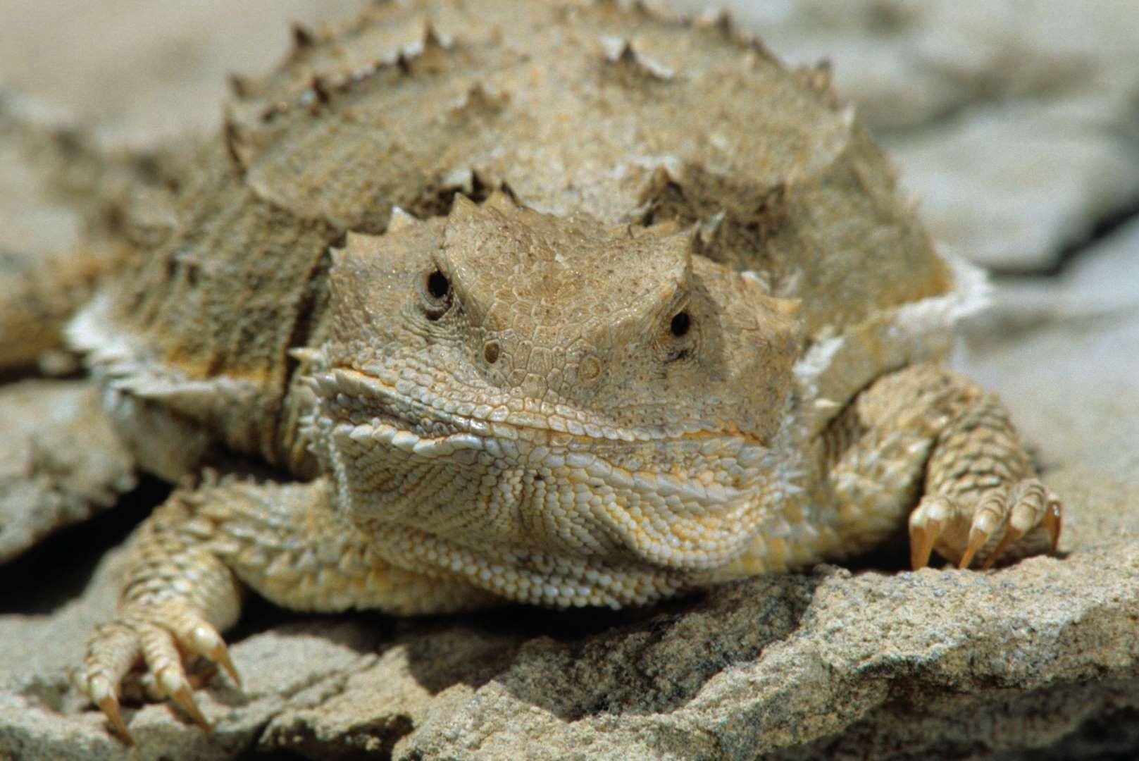 Me before Charge Hub, click to load a larger version