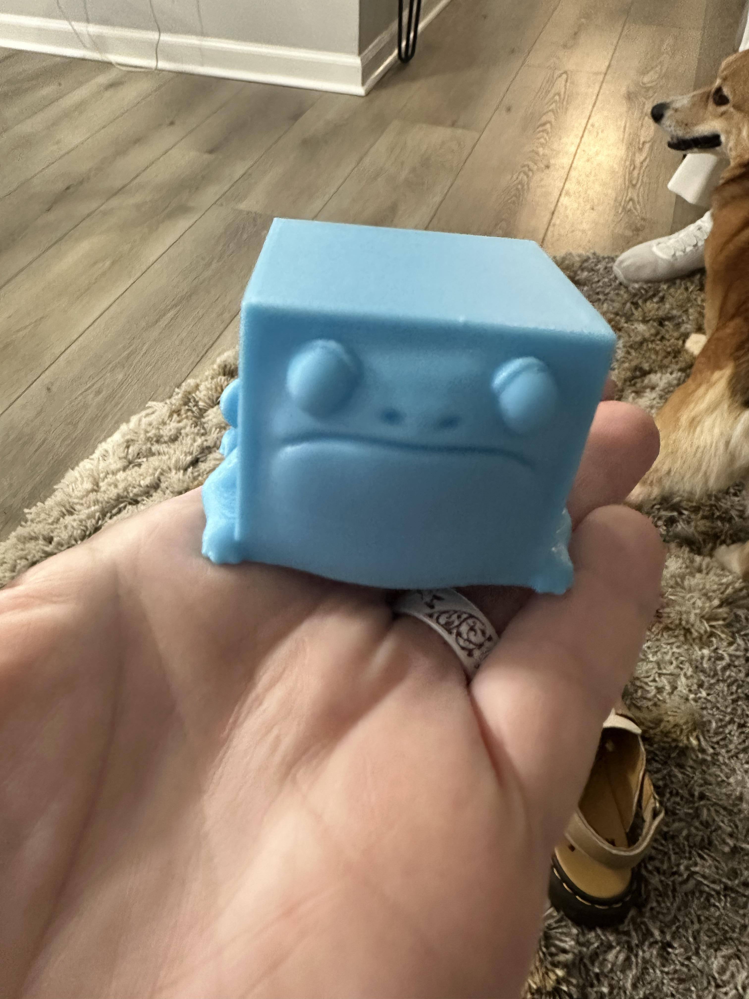 Customer provided, click to load a larger version