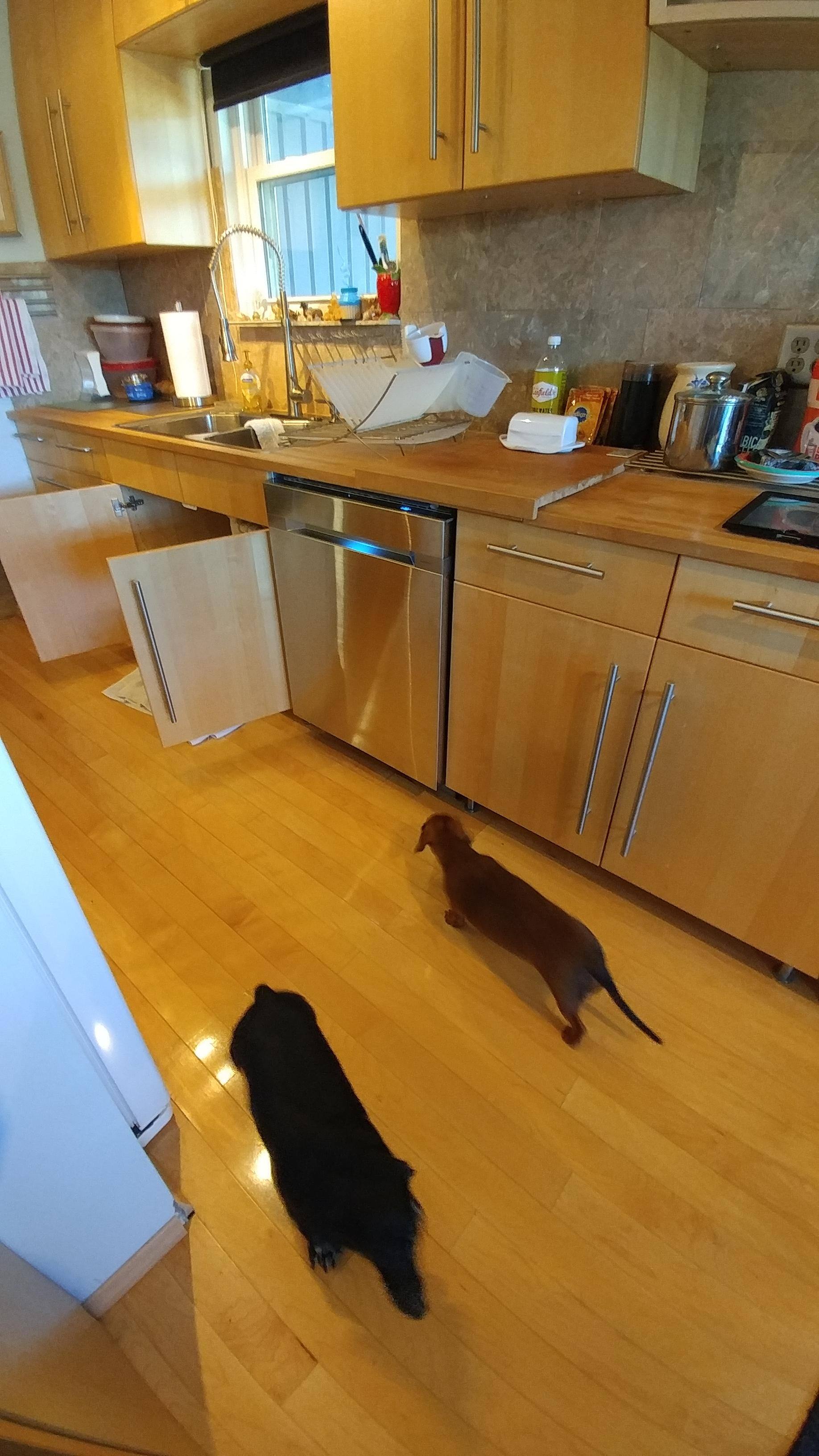 The girls approve!, click to load a larger version