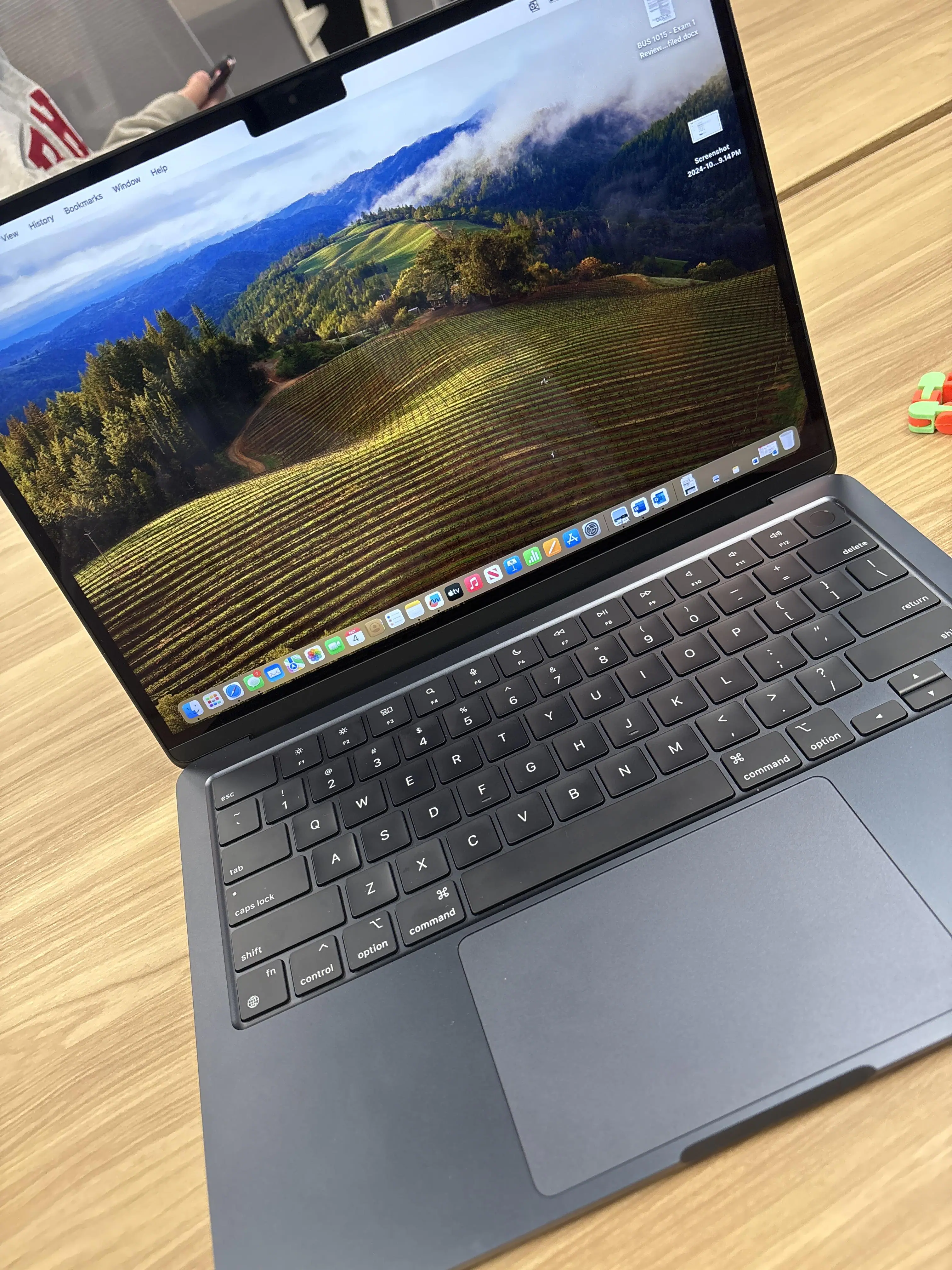 Customer provided, click to load a larger version