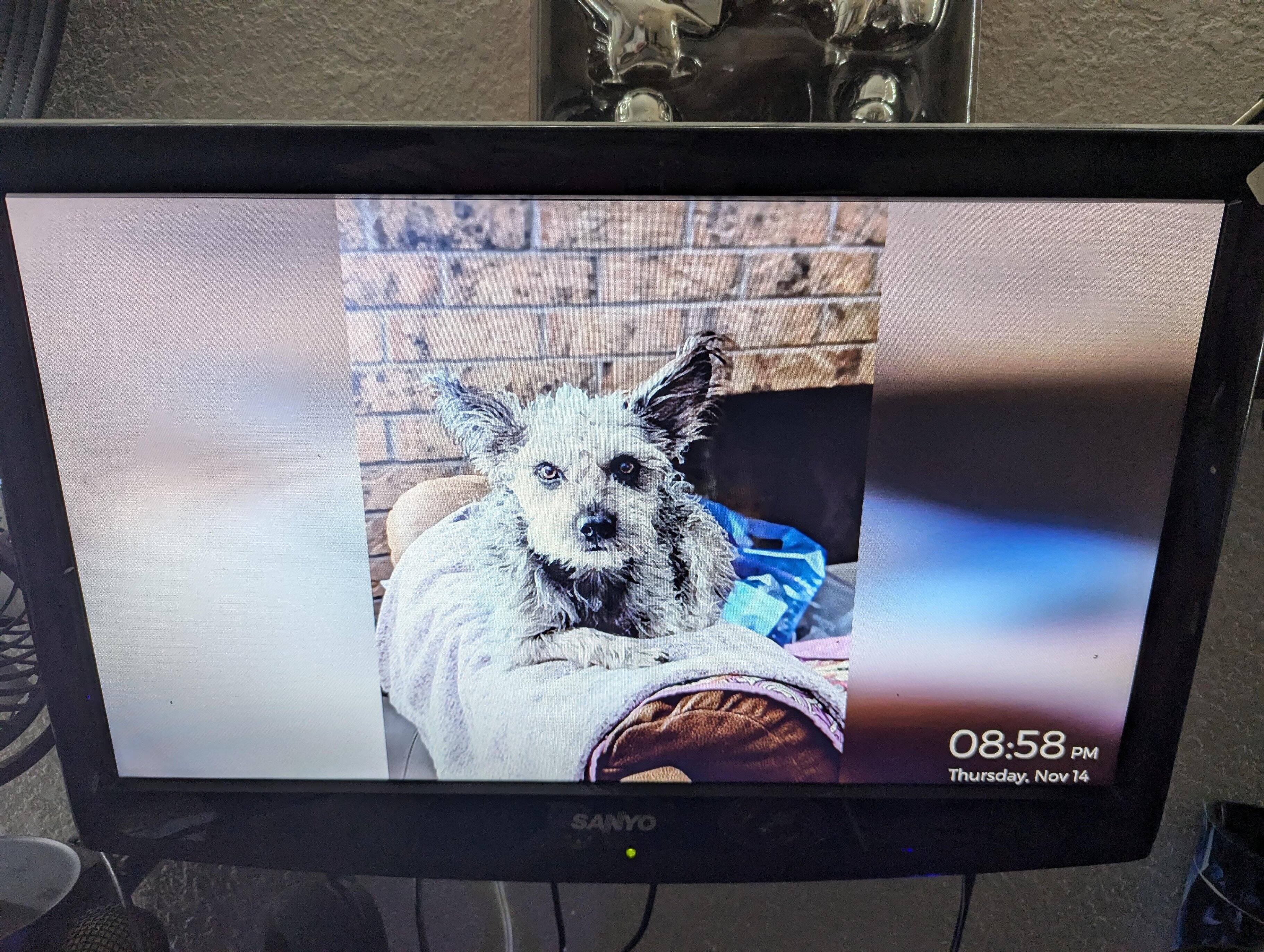 Customer provided image, click to load a larger version