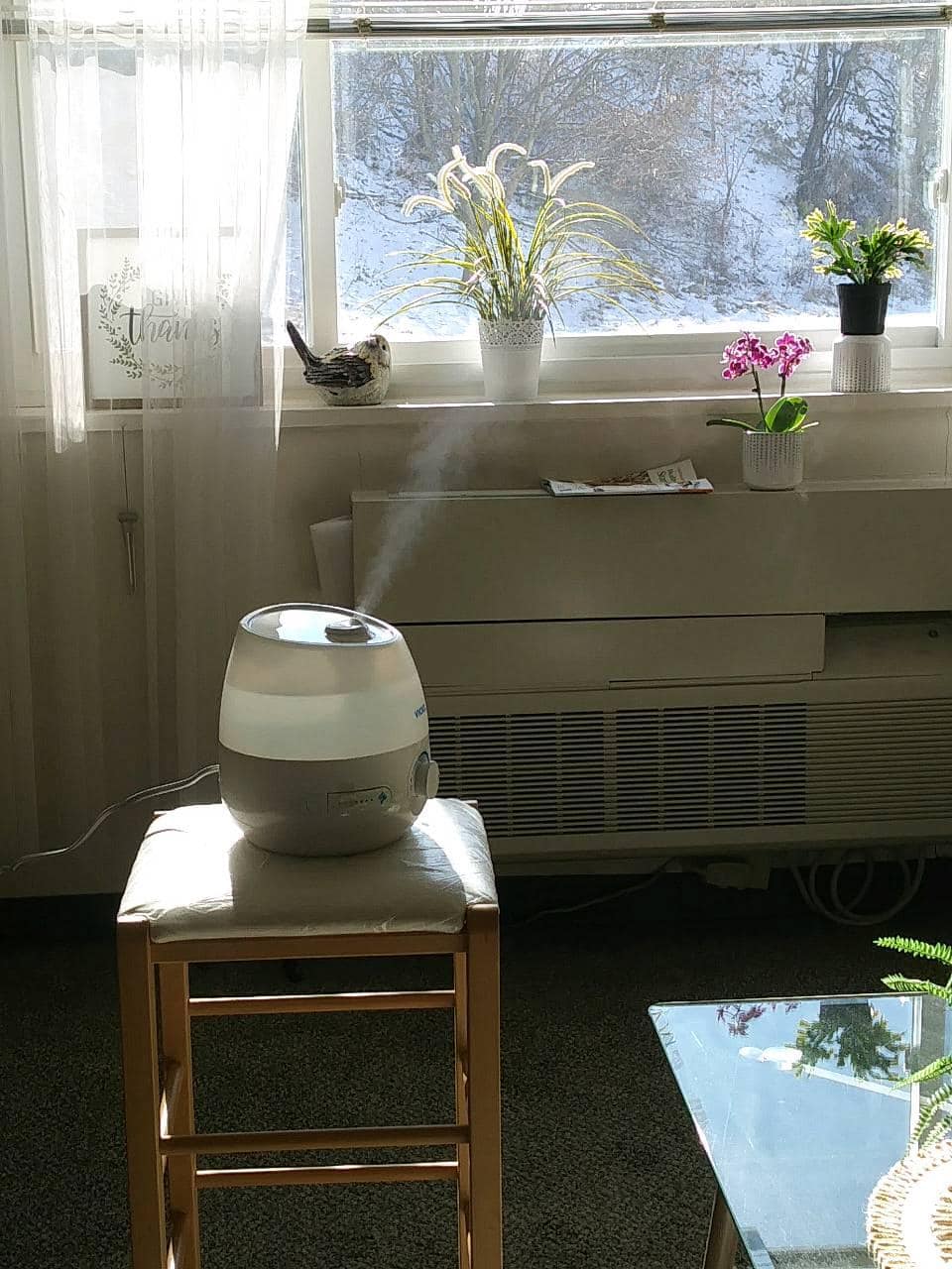 Mini Filter Free Cool Mist Humidifier, Small Room – Variable Mist