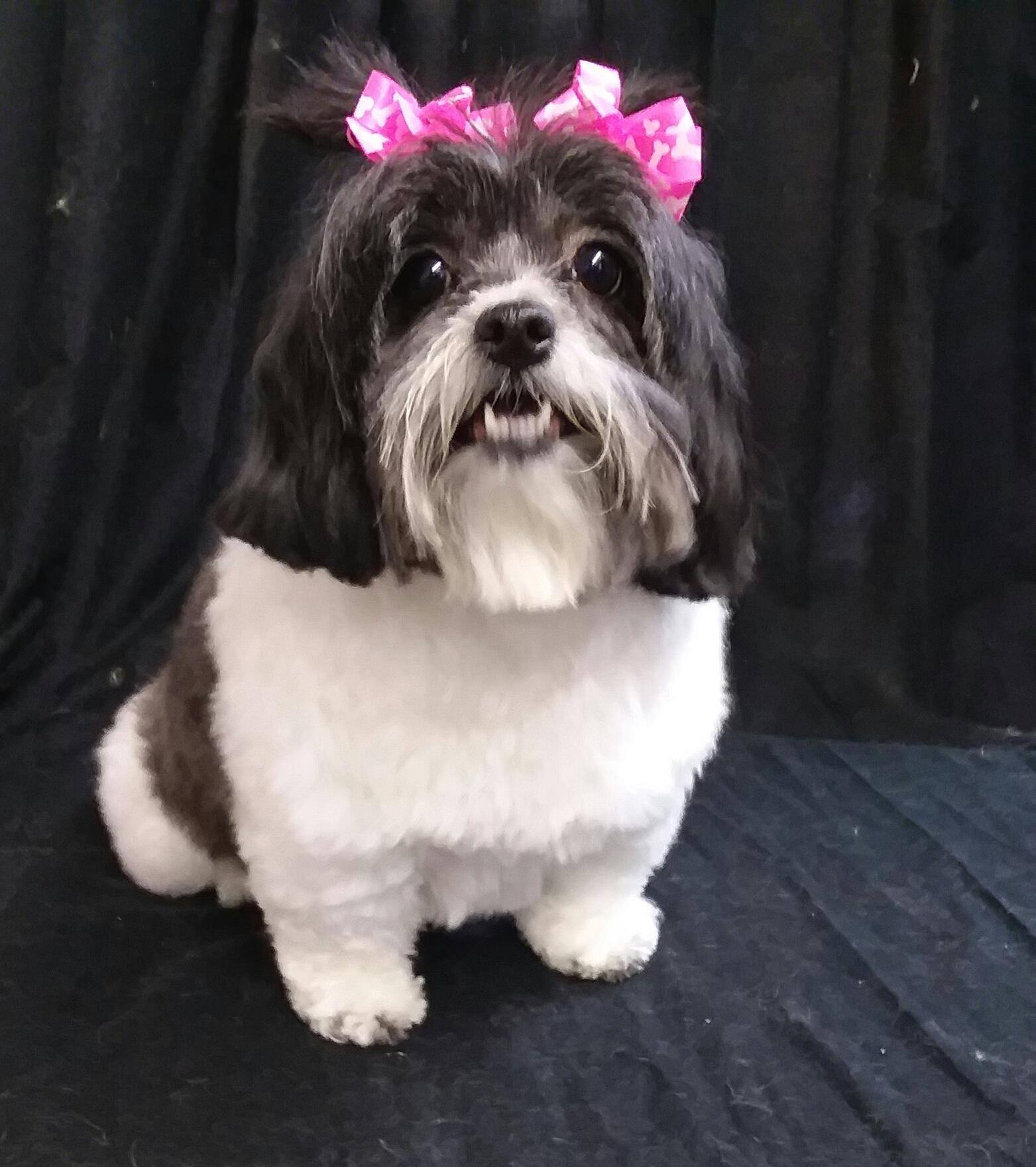 Kayla, click to load a larger version