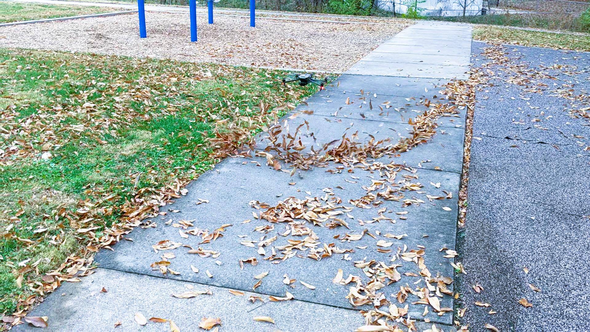 Ad hoc leaf blower., click to load a larger version