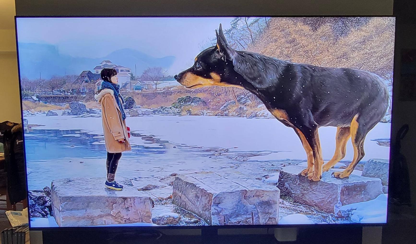 Customer provided image, click to load a larger version