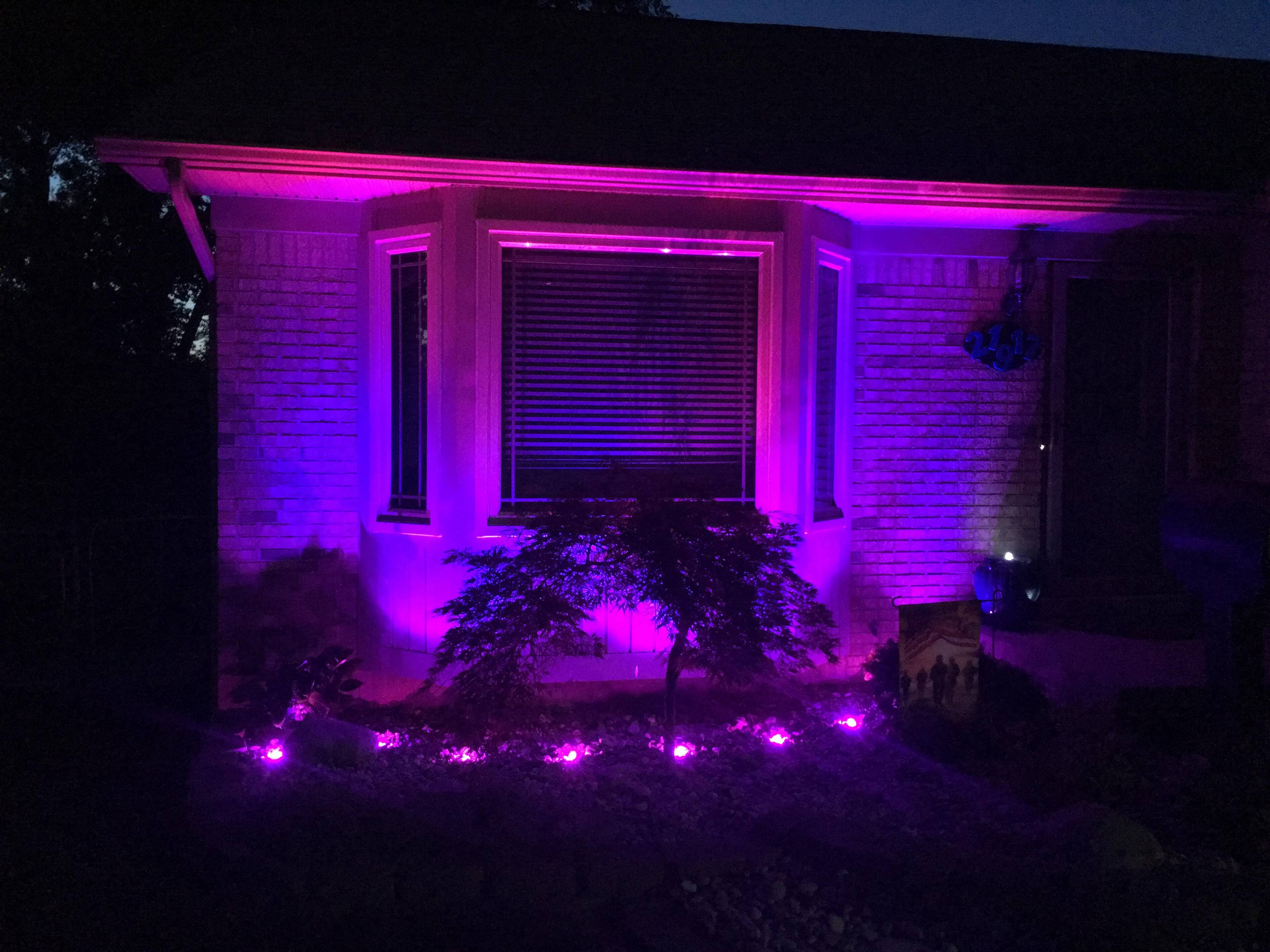 That's the color they were when I first turned them on, click to load a larger version