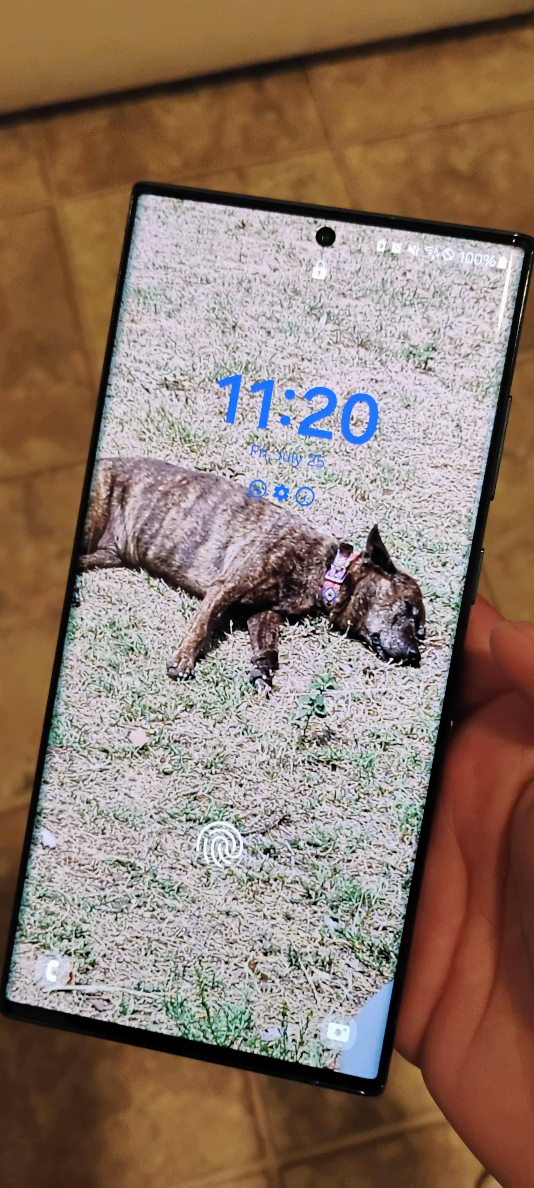 Customer provided, click to load a larger version