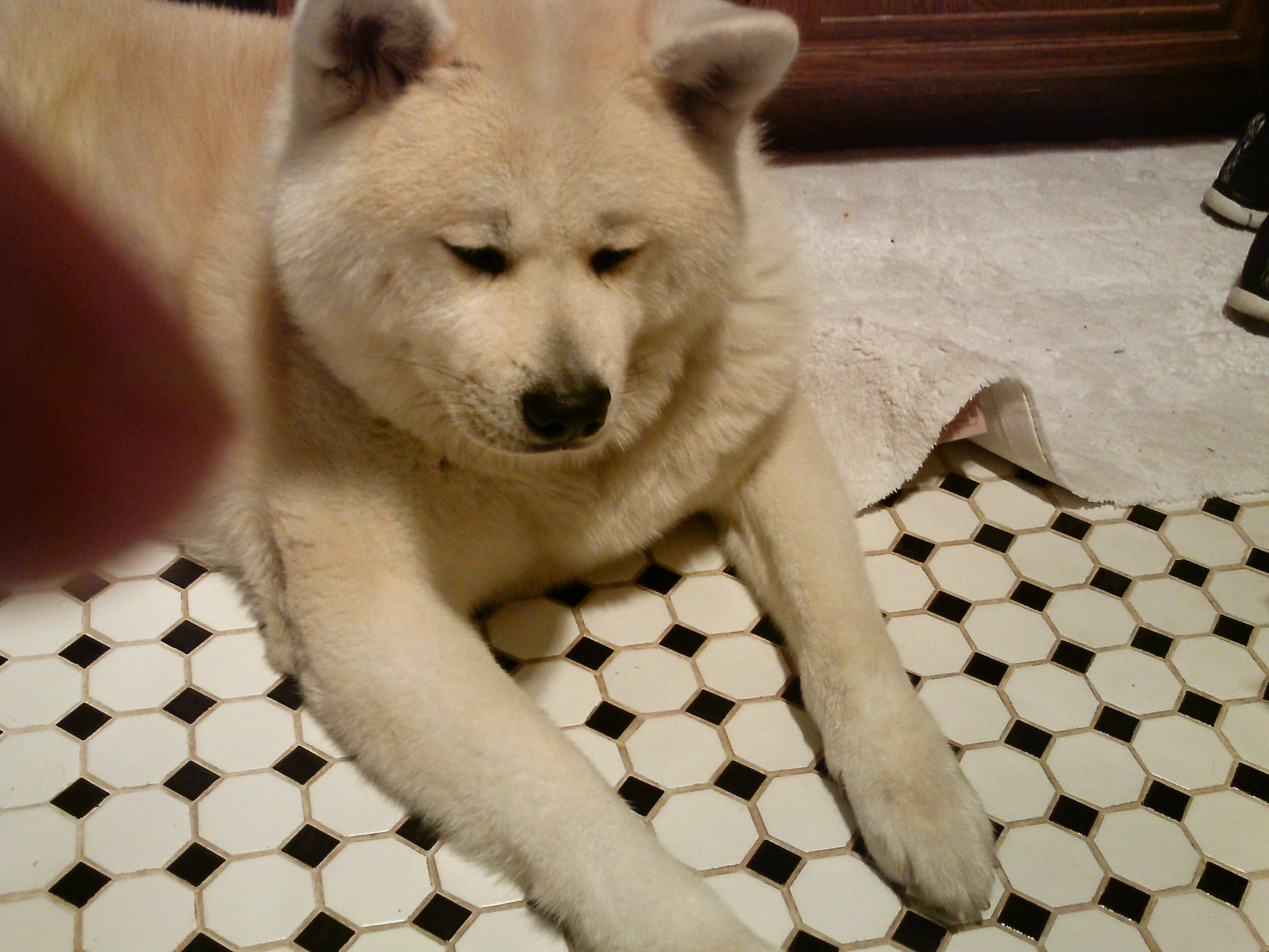 Customer provided, click to load a larger version