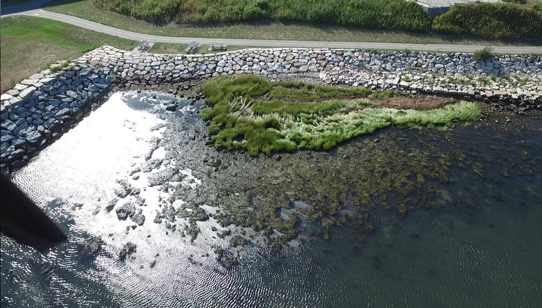 Gears on shoot, click to load a larger version