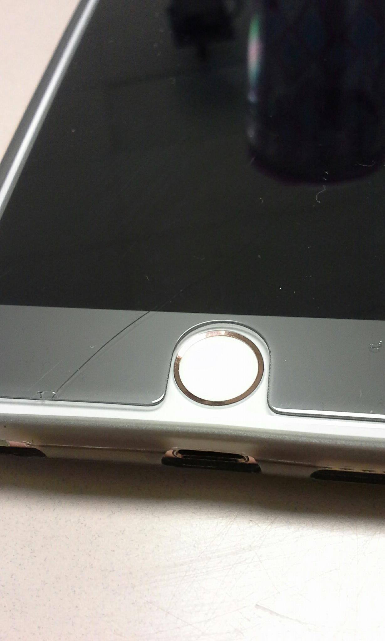 Cracks easily, click to load a larger version