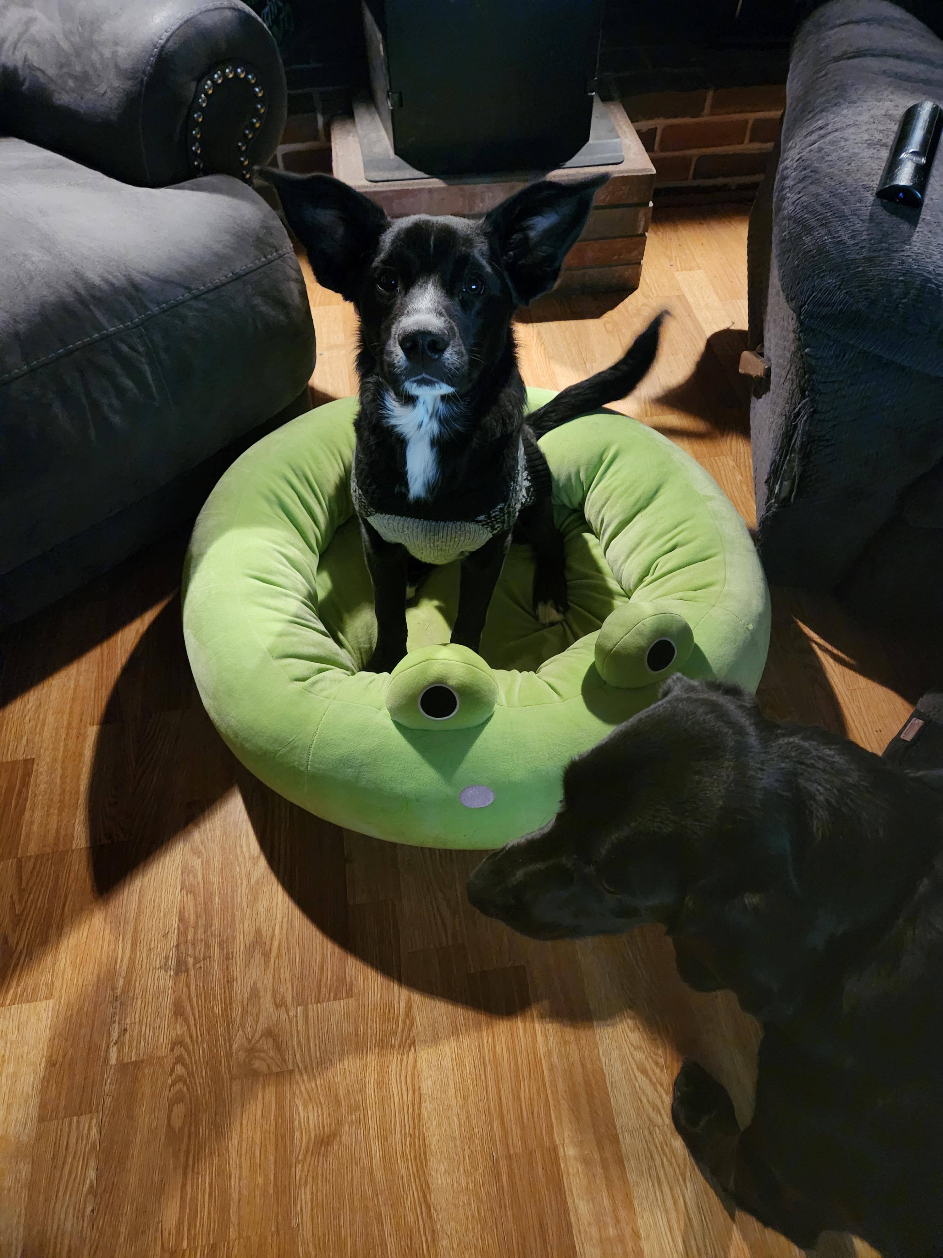 Customer provided, click to load a larger version