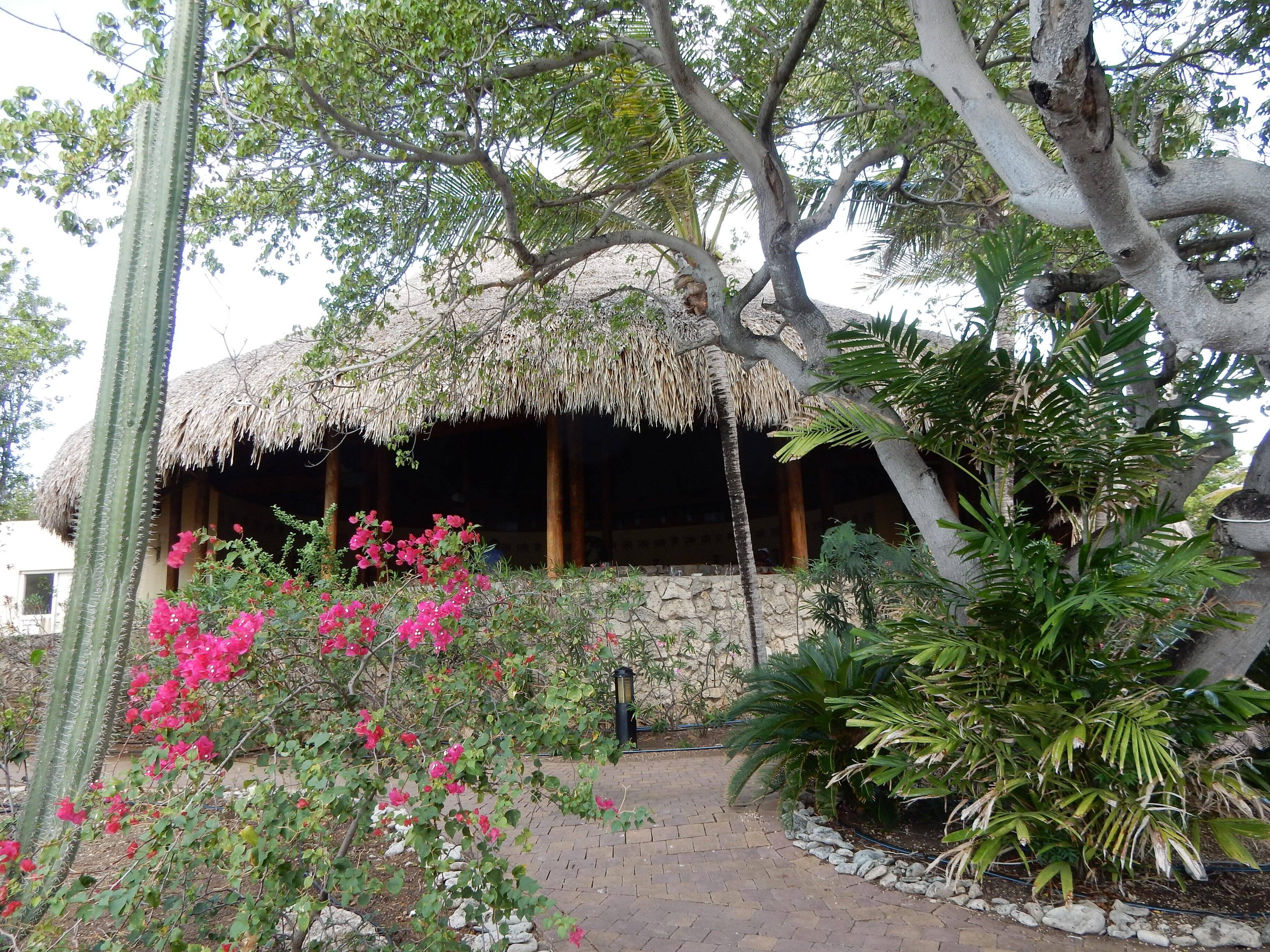 Island resturant, click to load a larger version