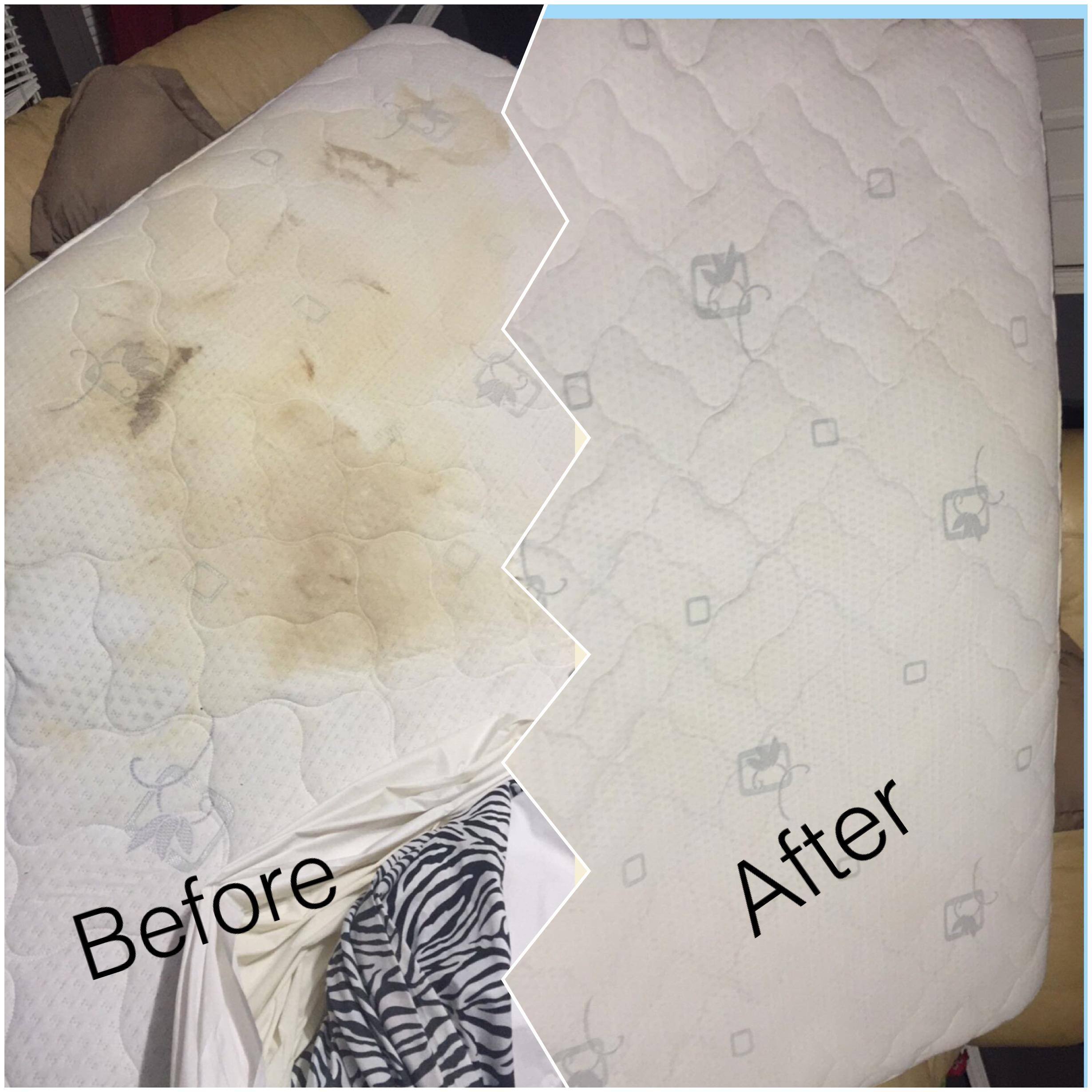 Cleaning took less than 30 min., click to load a larger version