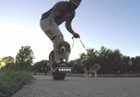 My dog loves it too, click to load a larger version