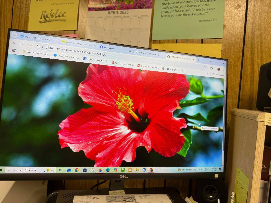 Customer provided, click to load a larger version