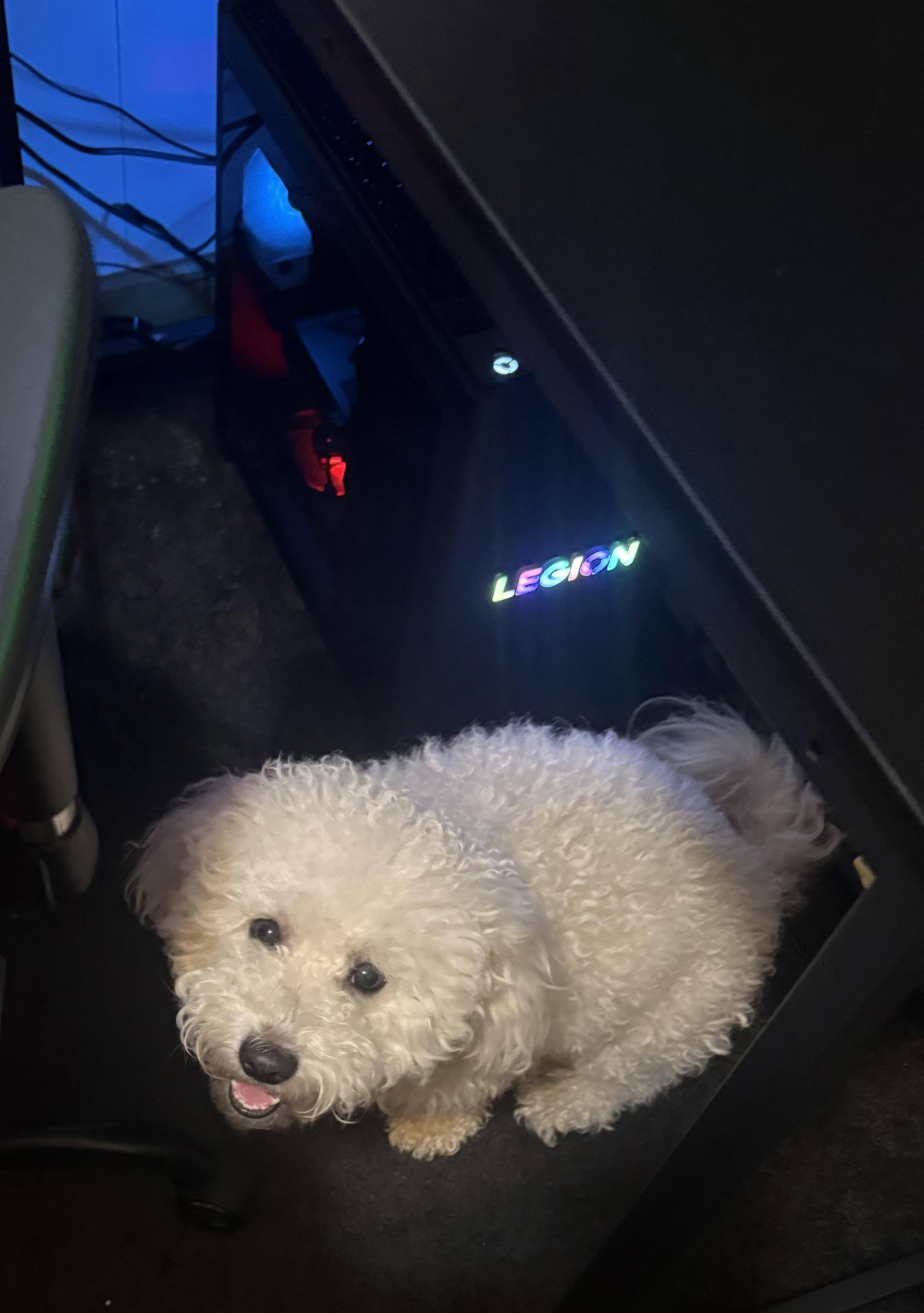 Customer provided image, click to load a larger version