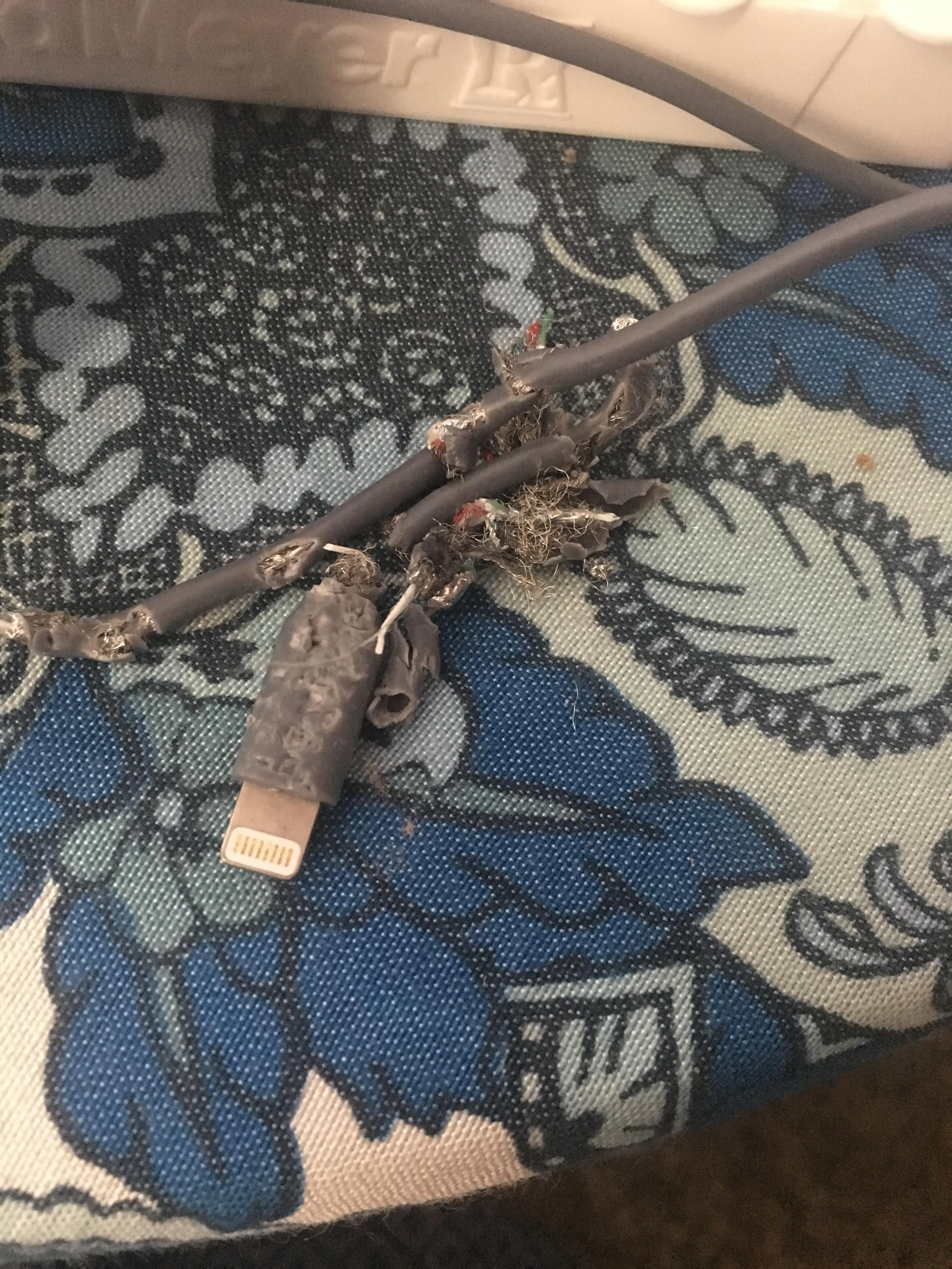 Customer provided image, click to load a larger version