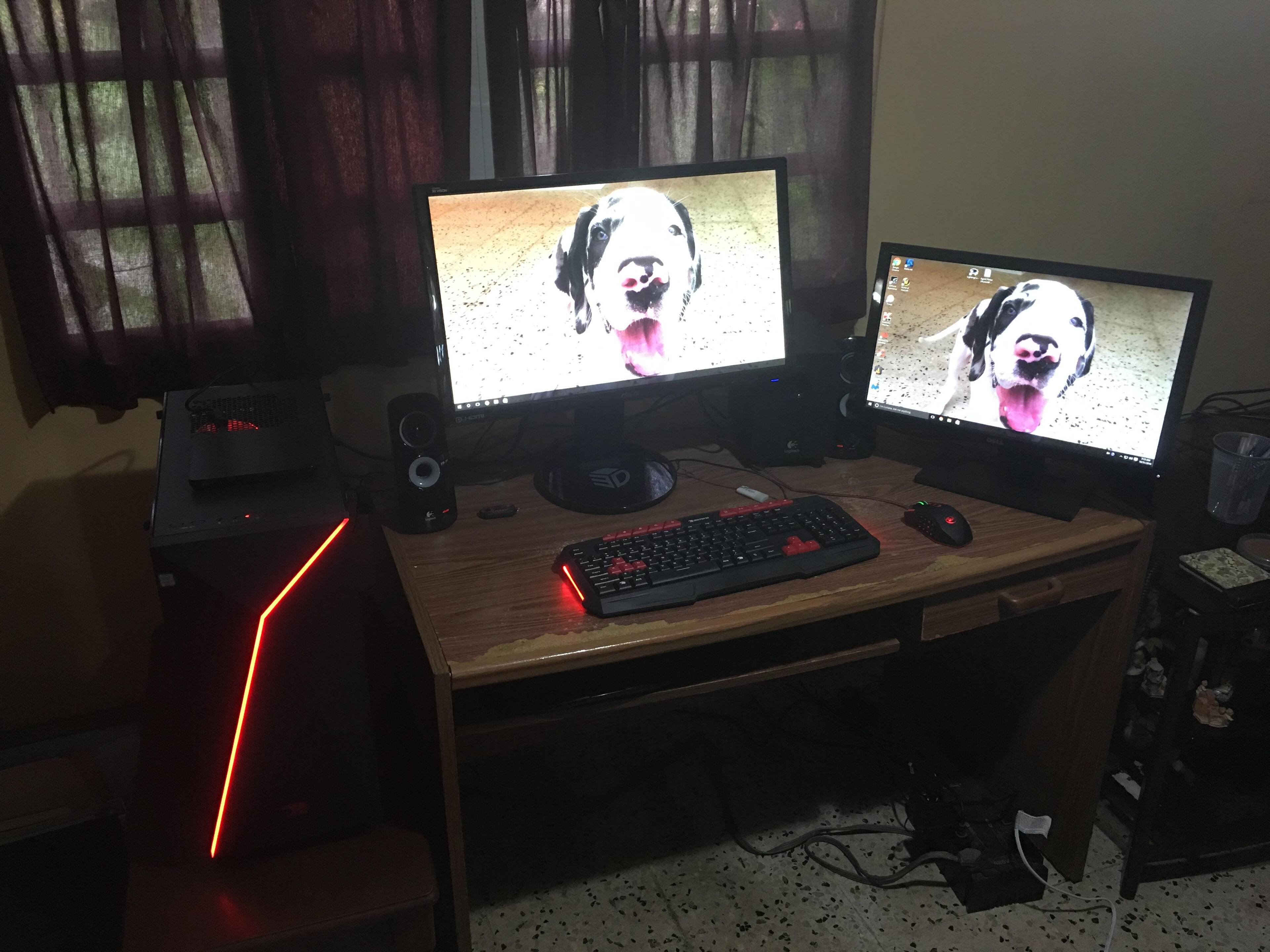 Puppy not included, click to load a larger version