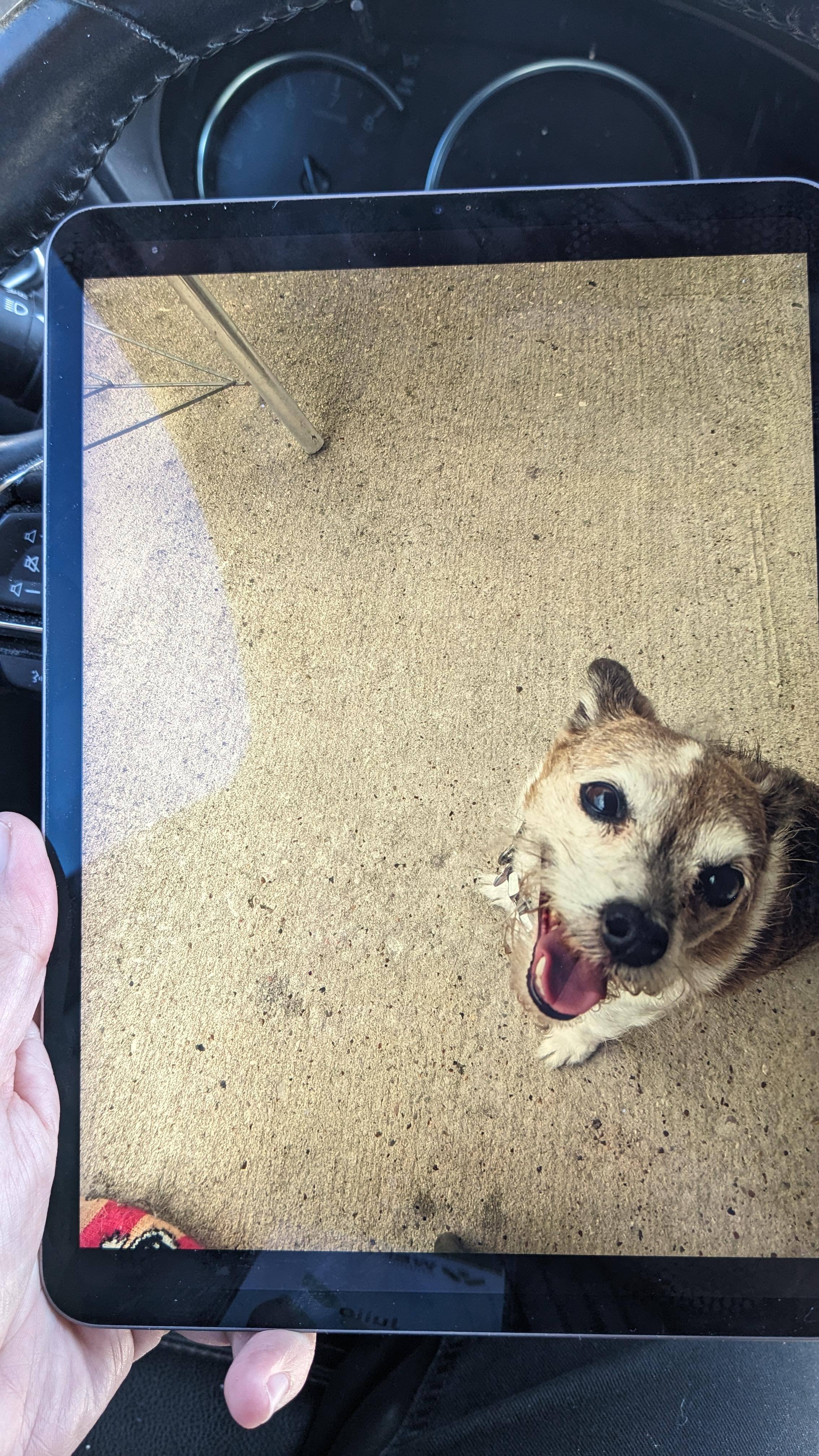 Customer provided, click to load a larger version