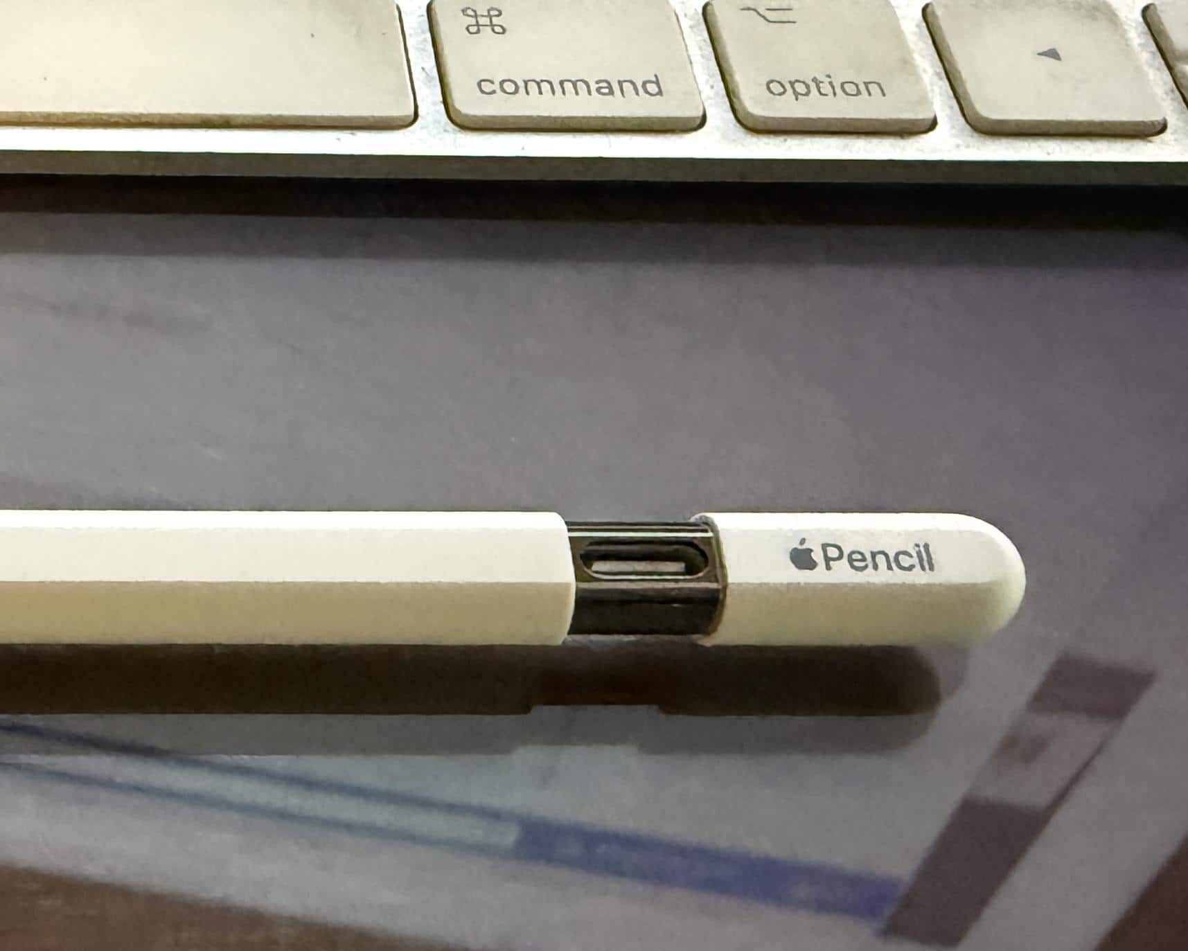 Apple Pencil (USB C) White MUWA3AM/A - Best Buy