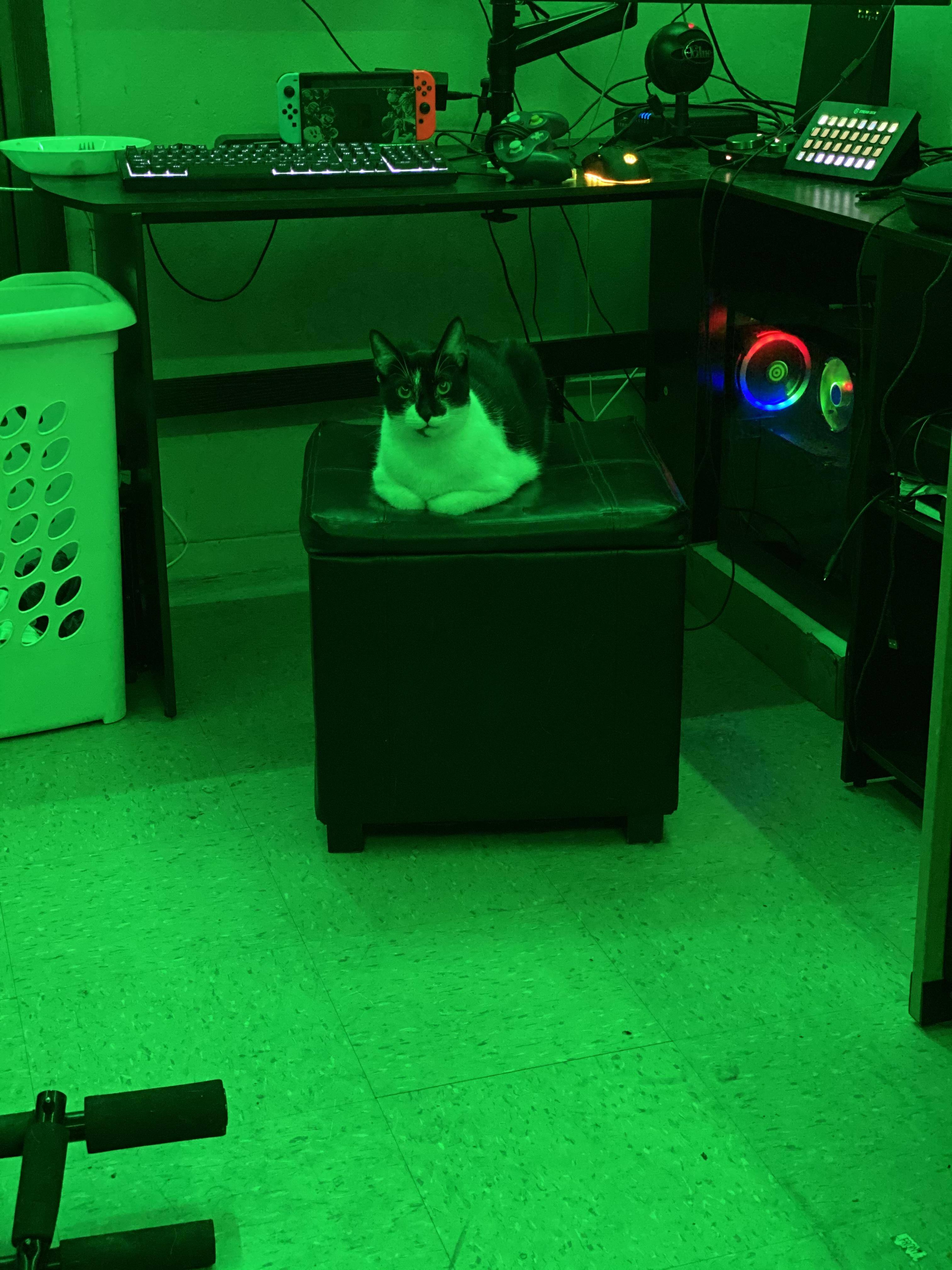 Customer provided, click to load a larger version