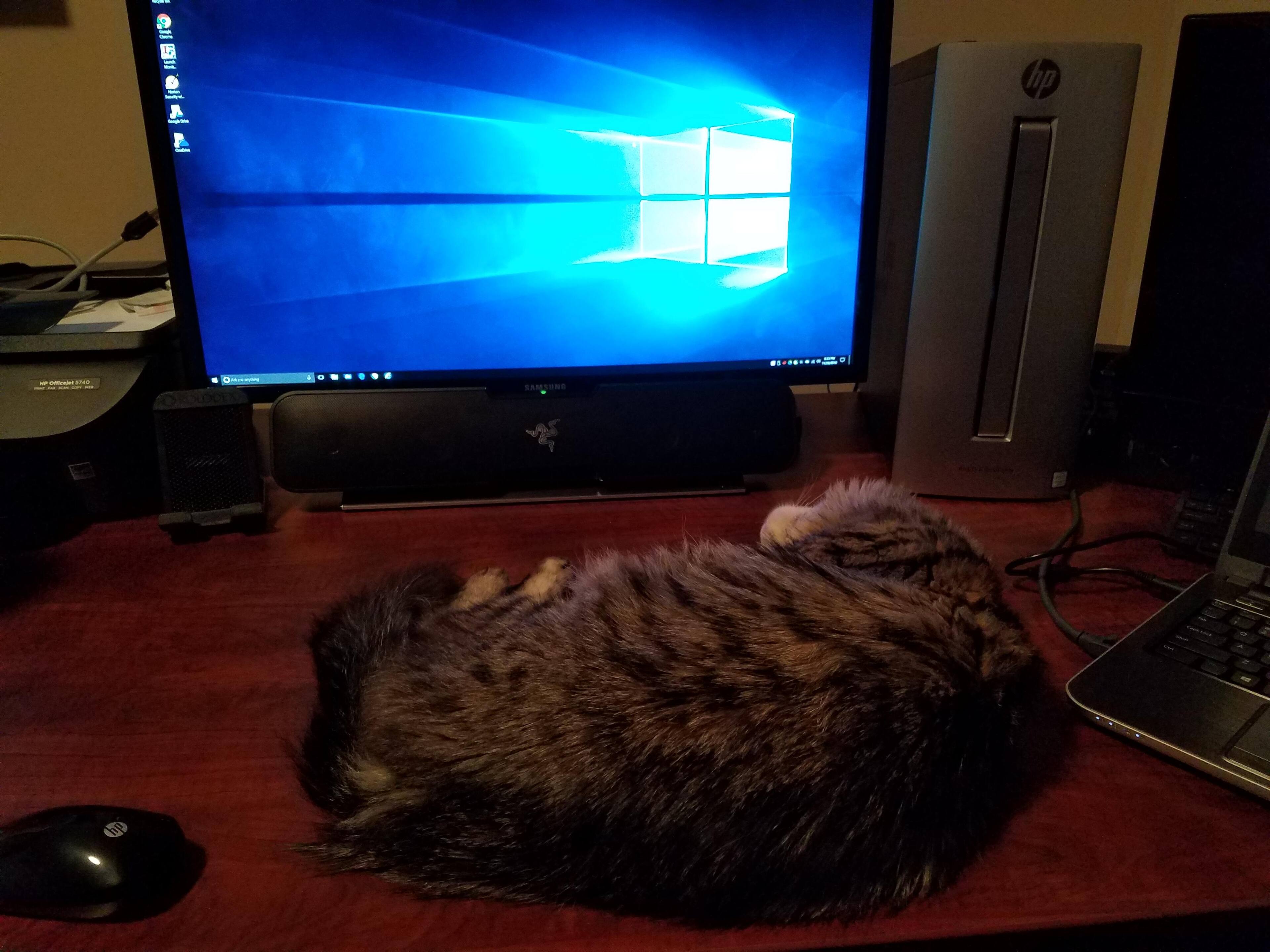 ignore my cat, PC on the right, click to load a larger version